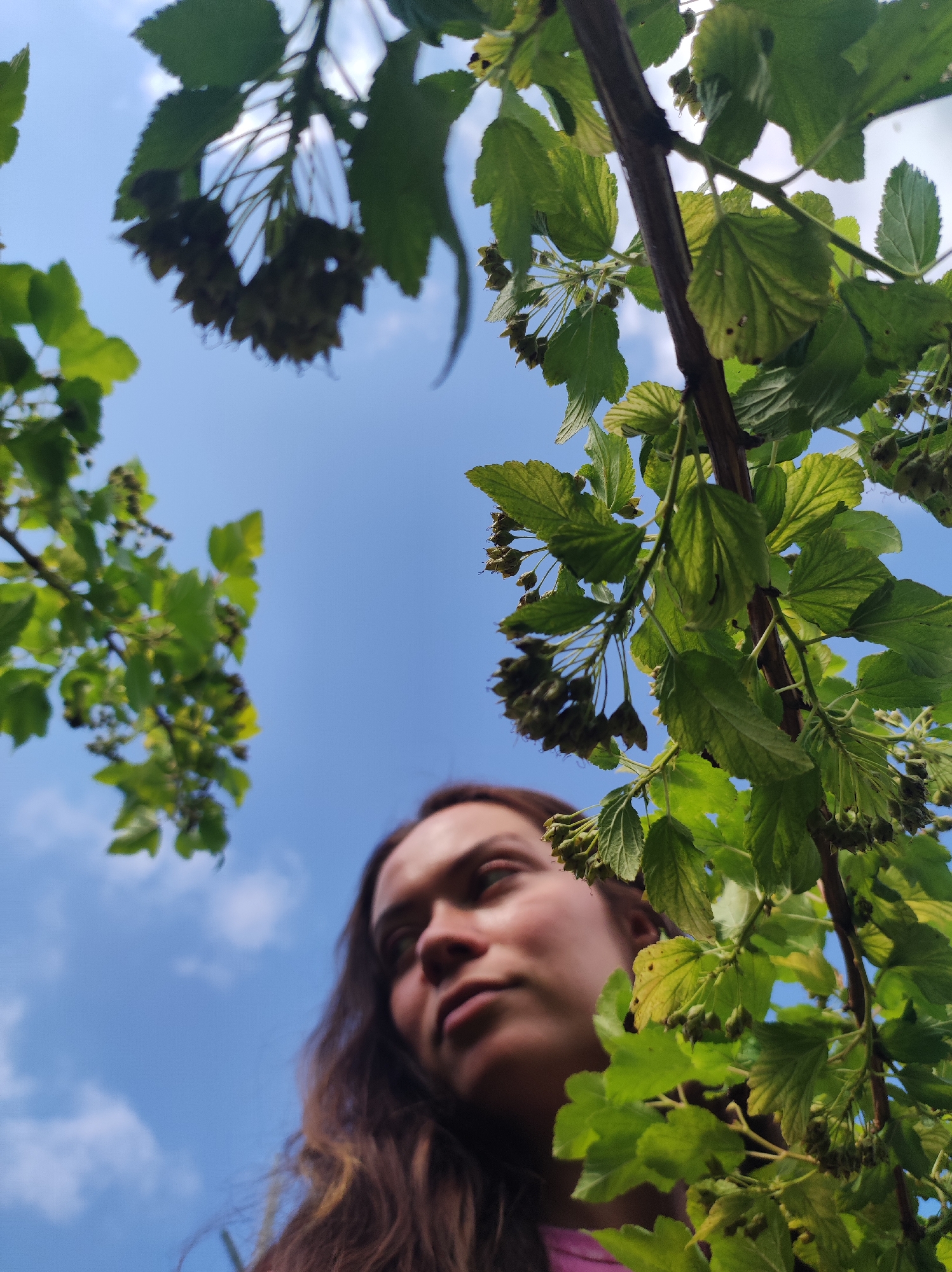 The image captures a low-angle shot of a young person looking upwards through foliage against a bright blue sky with scattered white clouds. The person, with long brown hair, is partially obscured by green leaves and branches, suggesting an outdoor setting with vegetation. The focus is on the textured green leaves and the person's thoughtful gaze upwards. The scene appears to be in a natural or park-like environment.