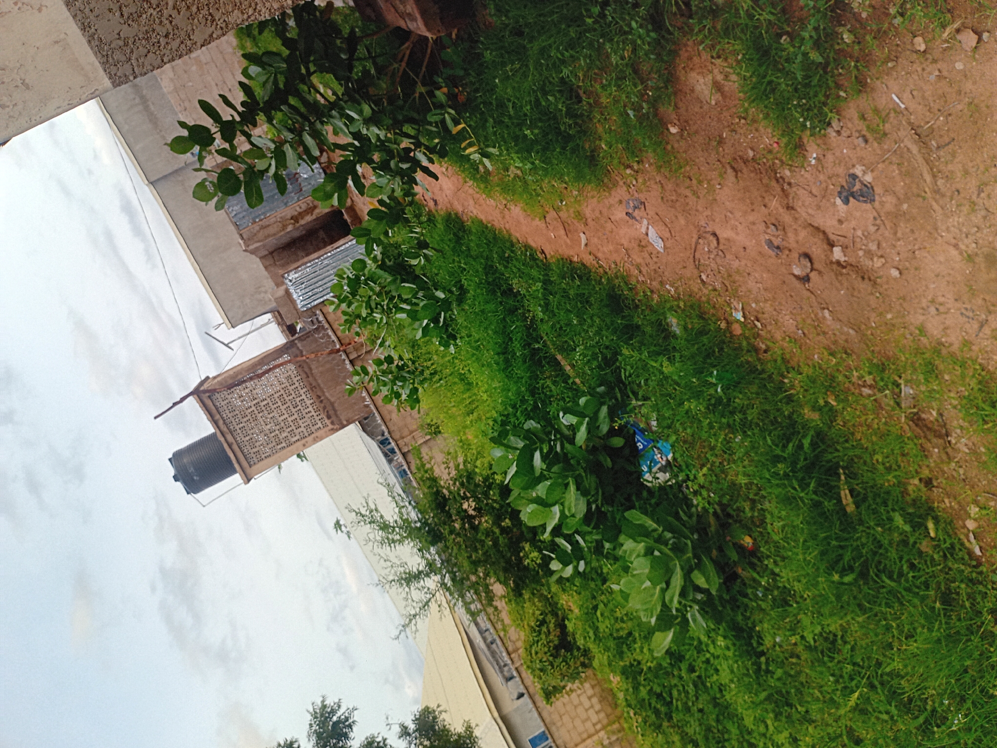 The image depicts an outdoor scene, likely in the city of Jauro Yinu, Nigeria. A dirt path curves through an area overgrown with grass and lush green vegetation. To the left, a brick wall borders the property, with a building beyond it. Further to the left, a lighter-colored, possibly corrugated metal roof structure is visible. In the background, a multi-story building with a light-colored facade and a few windows can be seen. Dominating the upper left portion of the background is a water tank mounted on a tall, patterned brick structure. To the right of the path, more greenery and a portion of a building with a rough-textured wall are present. Scattered on the path and in the vegetation are various pieces of debris, including plastic bags and other litter. The sky above is overcast with scattered clouds. No people are present in the image.
