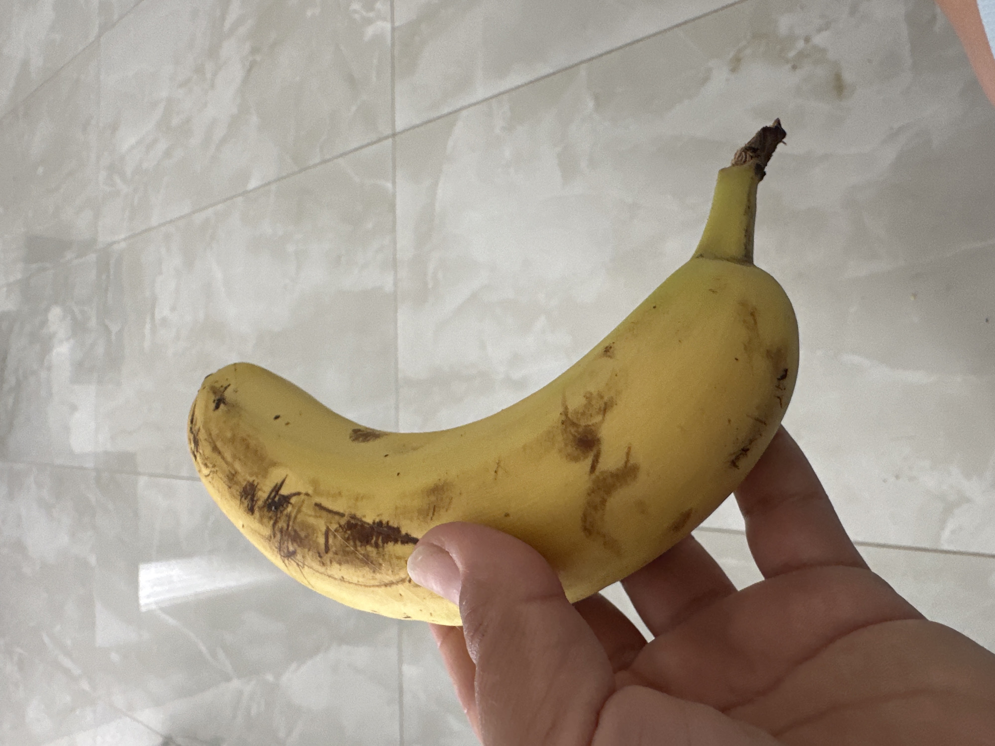 A hand holds a slightly spotted, yellow banana against a background of light-colored, square tiles. The banana curves slightly and has a dark brown stem. The hand is light-skinned. The environment appears to be indoors, likely a kitchen or similar space with tiled surfaces. Location is unknown.