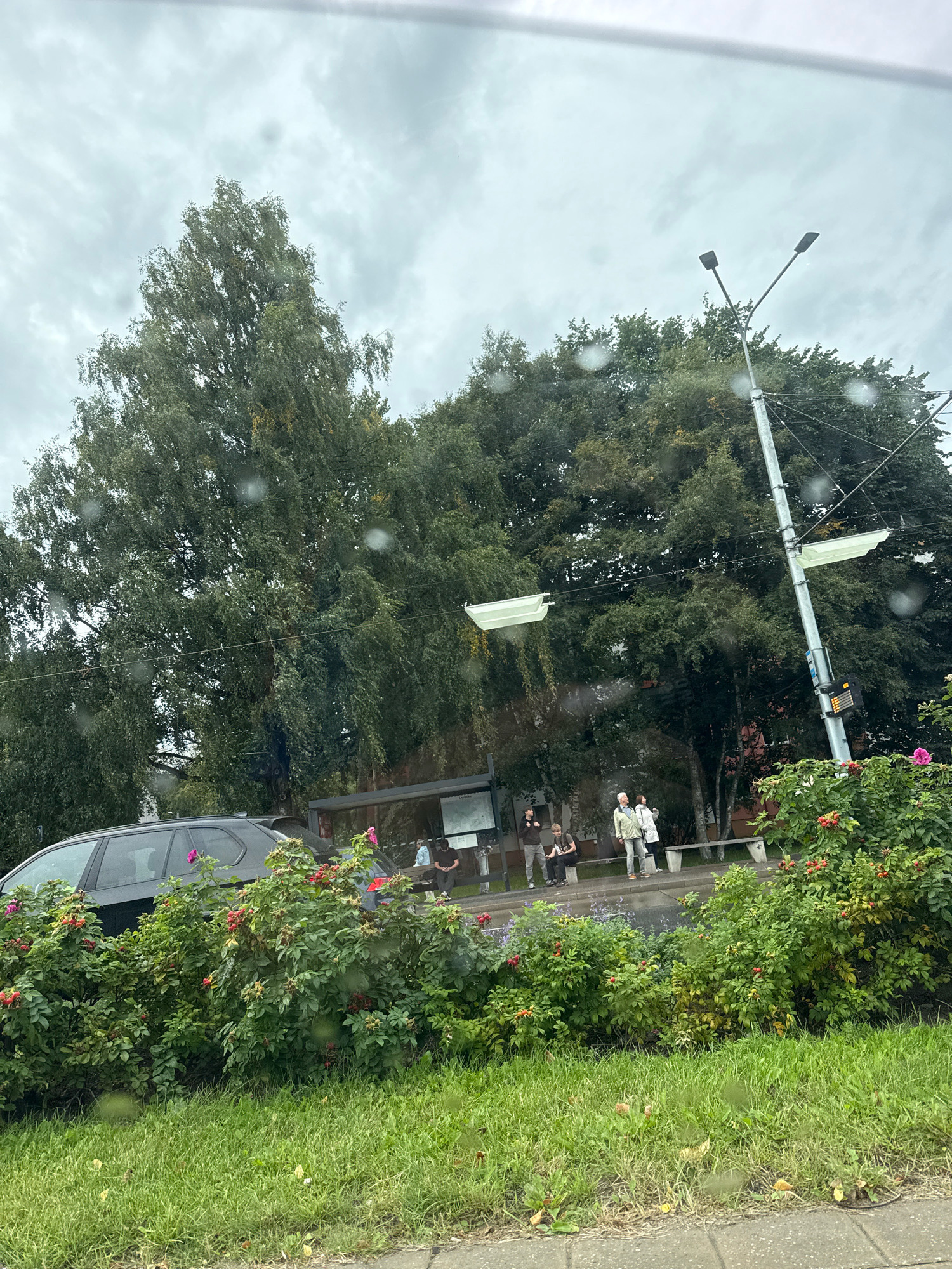 In Tallinn, Estonia, this image captures a bus stop on an overcast day. A dark-colored SUV is parked on the left, partially obscuring a bus stop shelter. Several people are visible at the bus stop, some standing and others sitting on a bench. They appear to be waiting, with no clear interactions depicted. The bus stop area is bordered by a lush green grassy area and dense green bushes with red berries, suggesting it's summer or early autumn. A tall streetlight stands to the right of the bus stop. The background consists of a large tree with dense foliage and a cloudy sky. The overall scene is typical of a suburban or residential area in Tallinn.