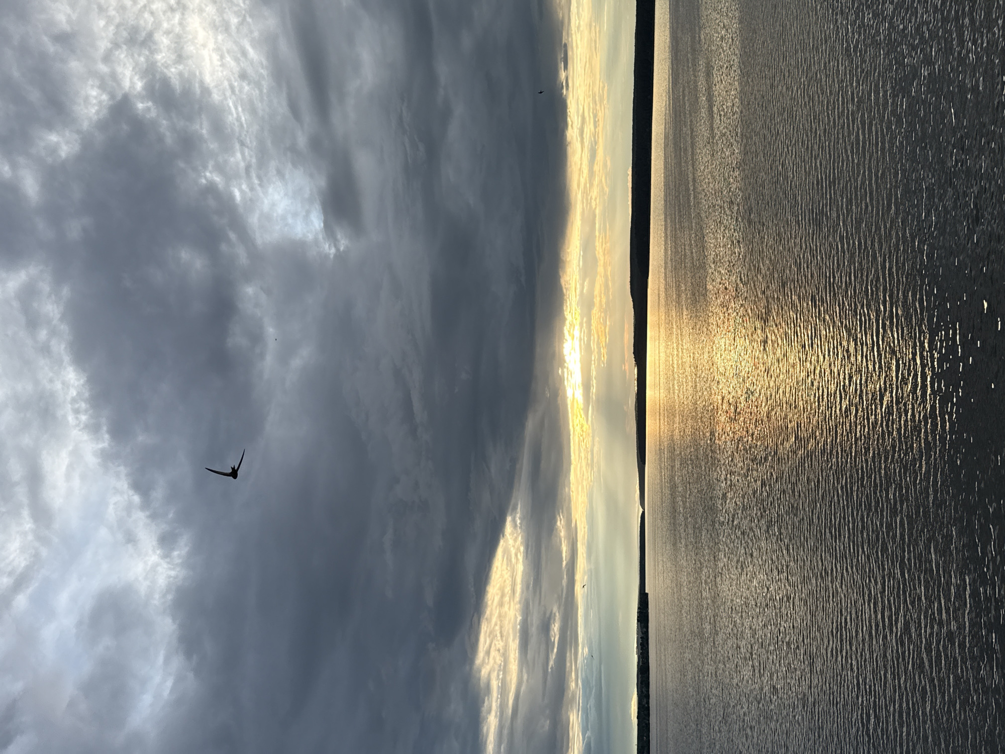 This landscape image captures a serene yet dramatic scene over a large body of water at either sunrise or sunset, with Votkinsk, Russia as the contextual location. The composition is divided horizontally into roughly two halves: the sky above and the water below, separated by a distant, dark horizon line.
The sky is dominated by a mixture of heavy, dark grey clouds and lighter, illuminated clouds. Golden rays of sunlight pierce through breaks in the cloud cover on the right side, creating a radiant glow near the horizon. This warm light contrasts sharply with the cooler, darker tones of the overcast sky elsewhere.
The body of water, likely the Votkinsk Reservoir, reflects the sun's golden light in shimmering, textured streaks that extend across its rippled surface. The dark, distant landmass forming the horizon line is a subtle silhouette against the bright light.
A notable subject is a bird in flight, silhouetted against the clouds in the upper-left portion of the sky. Its wings are outstretched, suggesting it is soaring or gliding. The overall lighting conditions indicate either early morning or late evening, characterized by the low sun and its striking reflections. The weather appears partly cloudy to overcast, creating a dynamic interplay of light and shadow. There is no visible text in the image.