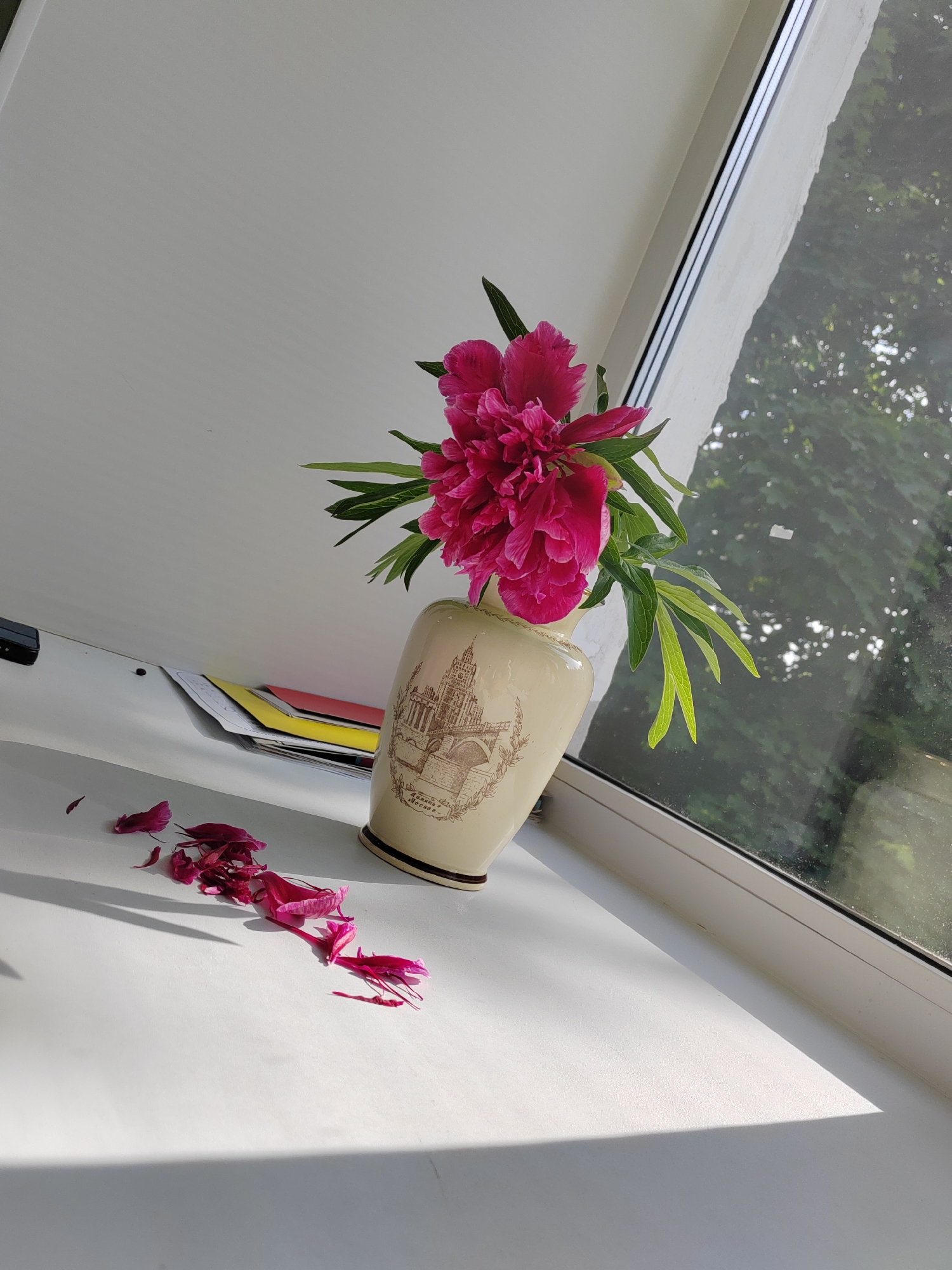 An indoor still life scene features a vibrant pink peony in an ornate vase, placed on a white windowsill or desk surface. The peony is lush and full, with several green leaves accompanying it. The vase is cream-colored with a brown illustration depicting a cityscape, strongly resembling the Giralda tower of Seville Cathedral, along with a bridge and other buildings. Below the illustration, text is visible, including "Seville" and what appears to be "Москва" (Moscow in Cyrillic).
To the left of the vase, a scattering of fallen deep pink petals lies on the white surface, suggesting the flower is shedding or has recently been disturbed. Further to the left and slightly behind the vase, a stack of colorful papers or documents (yellow, red, white) is visible, next to a dark, small, rectangular object.
The setting is brightly lit by natural light streaming in from a large window on the right side of the frame. This light casts distinct, long shadows across the white surface, indicating daytime, likely morning or late afternoon. Through the window, green foliage and trees are visible, suggesting an outdoor natural environment. The overall impression is one of natural beauty and tranquility, possibly with a subtle hint of melancholy due to the fallen petals. There are no people visible in the image.