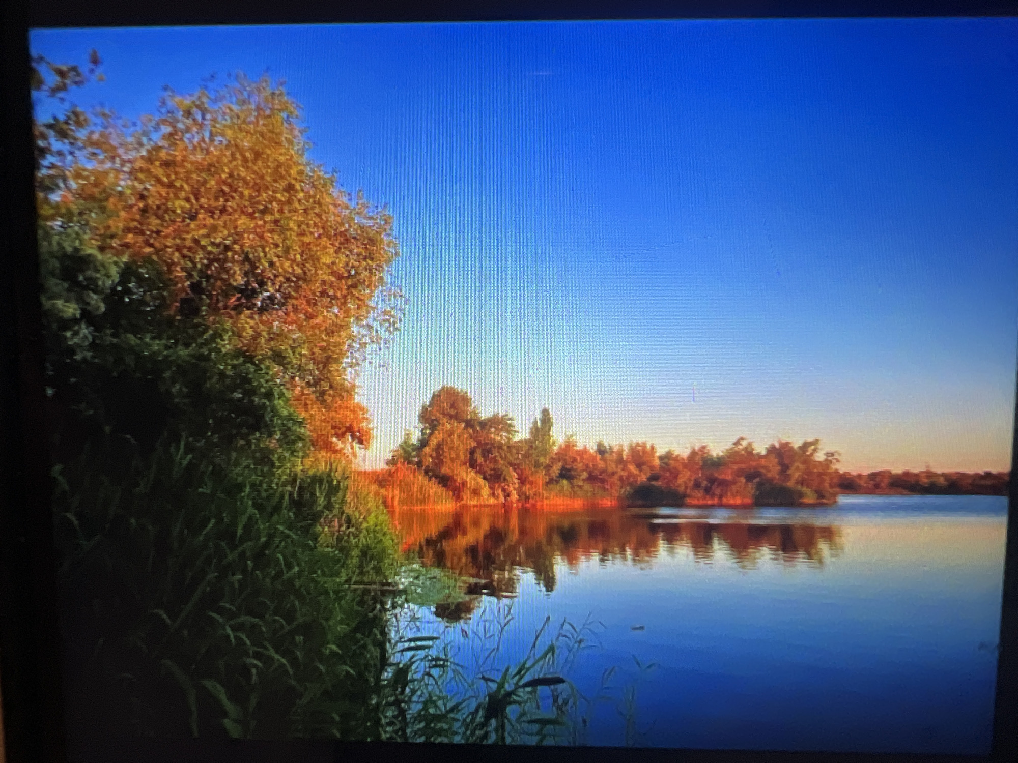 The image displays a reflection in water of trees with autumn foliage, predominantly in shades of orange and yellow, against a bright blue sky. The scene is oriented such that the reflection appears above the actual trees. Green vegetation is visible on the left side of the image. The water surface is calm, creating a clear, albeit vertically inverted, reflection. The image appears to be taken in an outdoor natural setting.