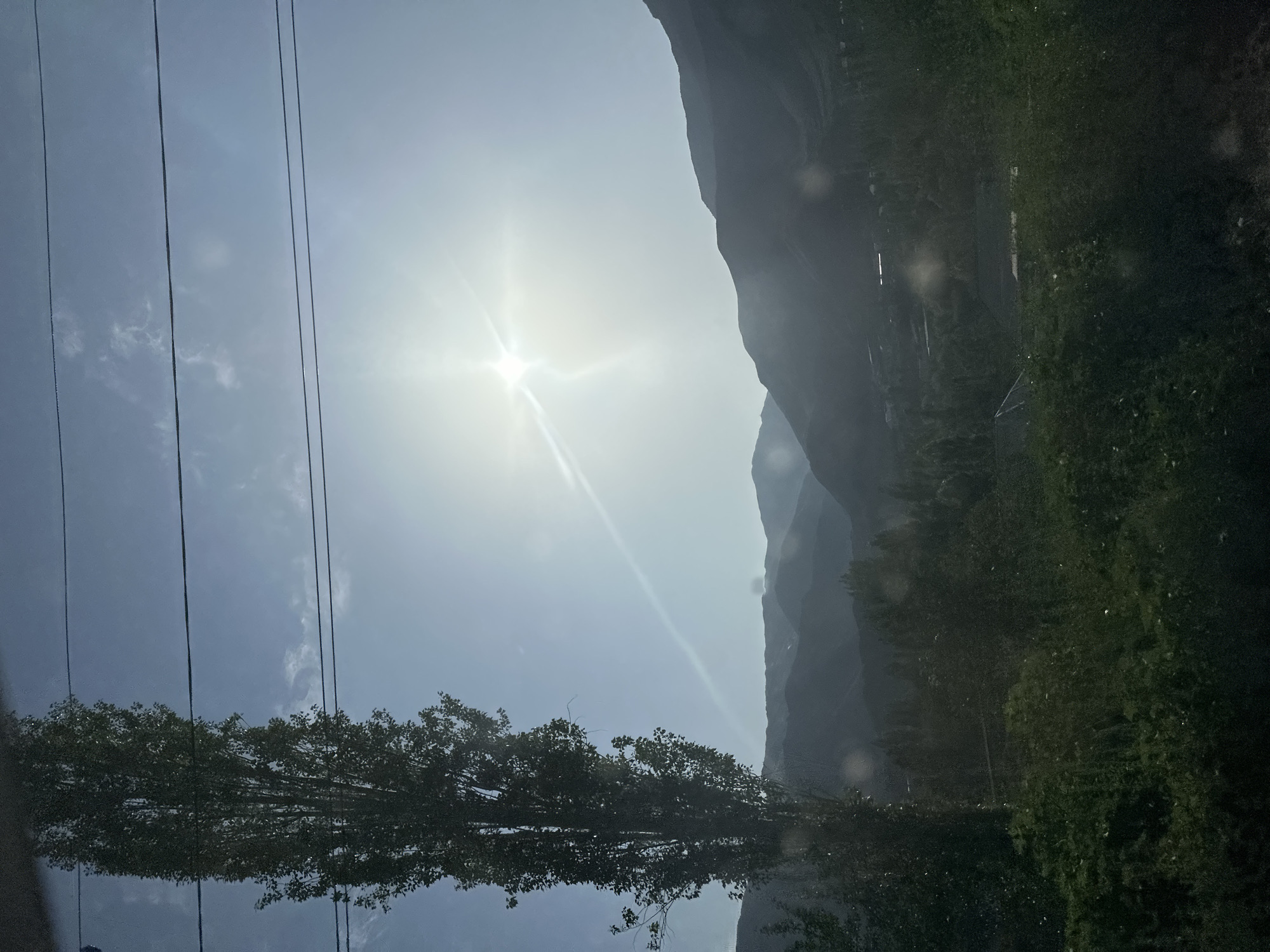 The image depicts a sun-drenched landscape with a tall, slender tree in the foreground on the left, silhouetted against a bright sky. Multiple power lines stretch horizontally across the upper portion of the frame. In the mid-ground, a series of layered, dark mountains recede into the distance. The sunlight is intense, creating a lens flare and washing out the sky in the upper right quadrant. The lower portion of the image shows a dense, dark green foliage, obscuring the ground and any potential human activity or structures. The overall scene suggests an outdoor environment, possibly in a rural or mountainous area near Kadamjay, Kyrgyzstan, given the context. There are no people visible, and the focus is on the natural landscape and infrastructure elements.