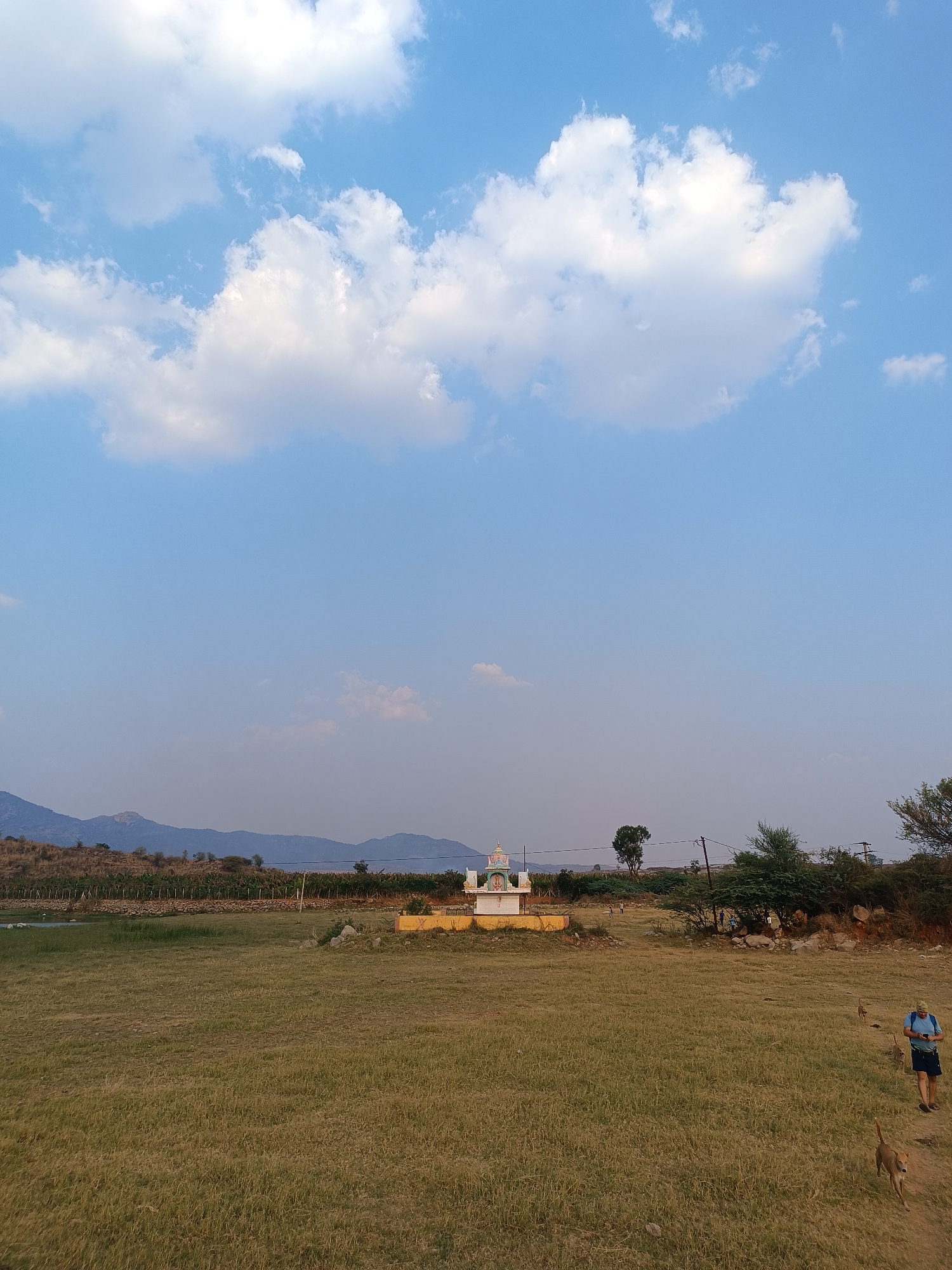The image depicts a rural landscape under a sky with scattered clouds. In the mid-ground, a small white and yellow structure, possibly a shrine or temple, stands in a field of dry grass. In the background, a mountain range is visible. To the right, a man in a blue shirt and shorts is walking, looking at his phone, accompanied by two dogs. The location is in a rural area. No city is named in the picture.