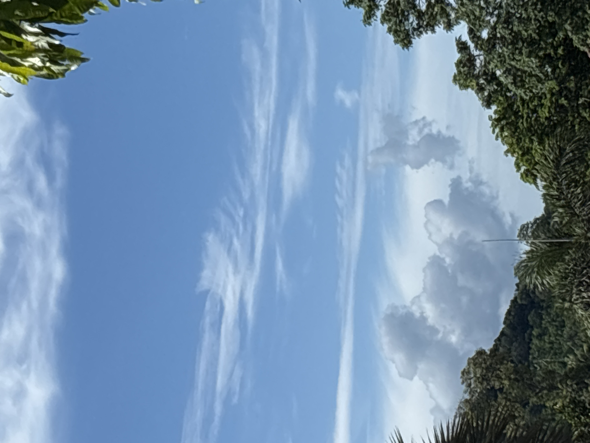 A low-angle, full shot captures a bright, clear blue sky dotted with wispy white clouds. Lush green trees and foliage frame the bottom and right edges of the image. In the distance, a heavily forested mountainside is visible. The scene appears to be outdoors in a natural, possibly tropical, setting in or near the city of Ban Bang Rak, Thailand.