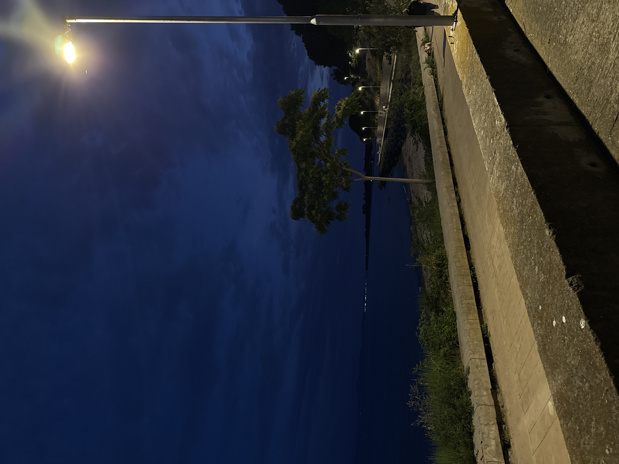 The image depicts a seaside promenade in Nesebar, Bulgaria, at dusk. A tall street lamp on the right illuminates the scene with a warm, yellow light, casting a glow on the deep blue, cloud-filled sky. The promenade, paved with light-colored rectangular tiles, runs alongside a concrete barrier. Beyond the promenade, a calm sea stretches into the distance, with a faint line of lights indicating a distant settlement. A lone tree with sparse foliage stands near the water's edge, its branches silhouetted against the sky. Several other street lamps are visible along the curved promenade, spaced out and casting pools of light. A person, appearing as a dark silhouette, is walking their dog on the promenade. The ground is covered with gravel and scattered rocks. Lush green vegetation grows along the edge of the promenade, bordering the sea.