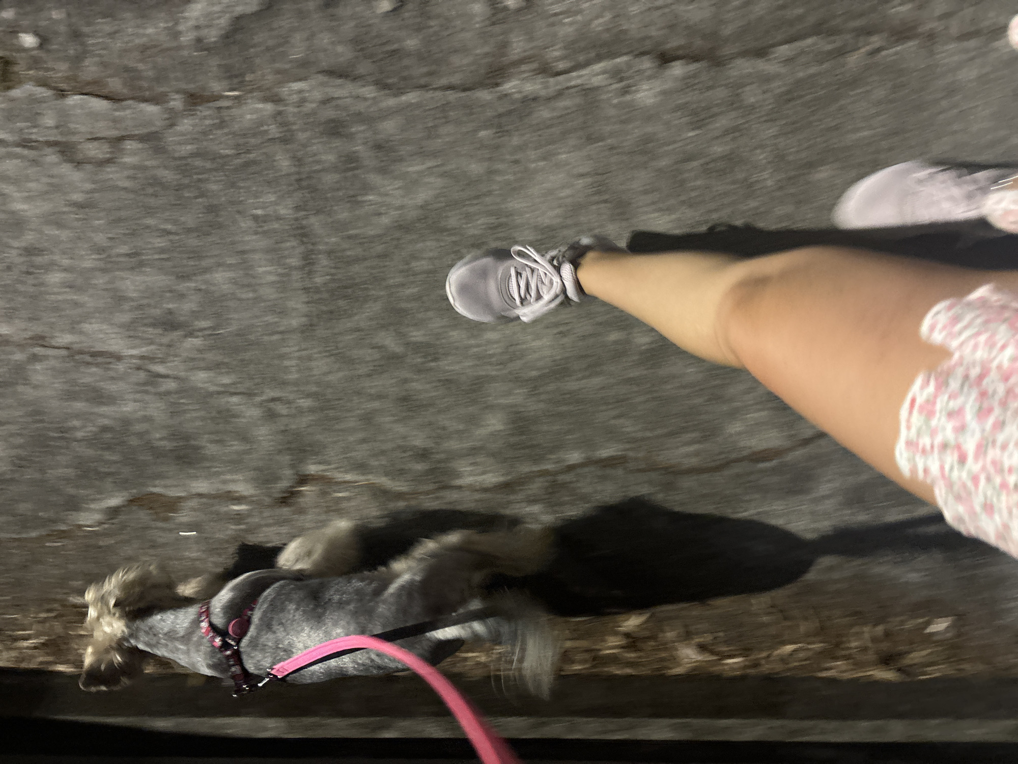 A person is walking a small dog on a leash at night. The dog is grey with a pink and black collar and a pink leash. The person is wearing a pink and white floral dress and grey sneakers. They are walking on a paved surface, likely a street or sidewalk, with a rough texture. The scene is dimly lit, suggesting it is nighttime or a poorly lit area. The perspective is from the person's point of view, looking down at their feet and the dog in front of them. The location is the city of Budva, Montenegro.