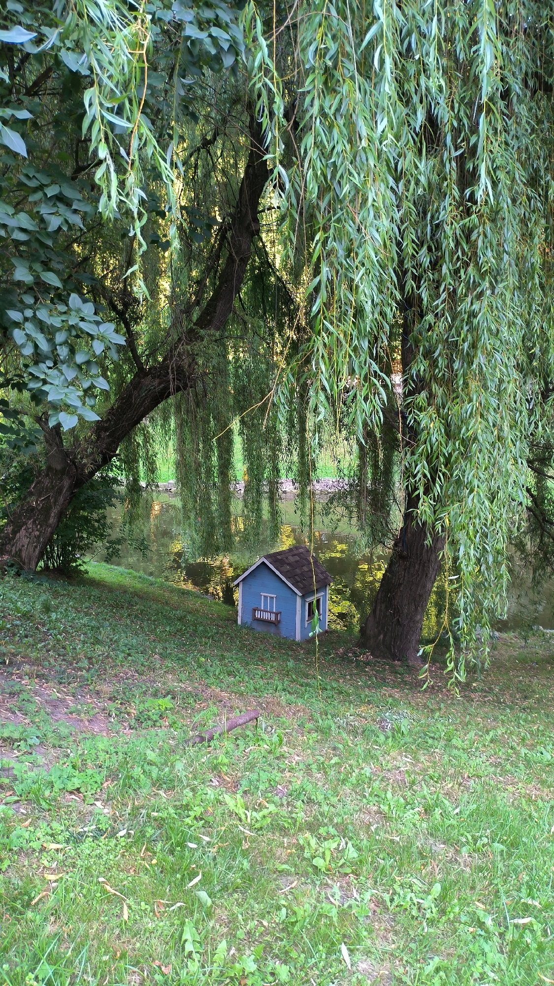 In Lviv, Ukraine, a small, blue, dollhouse-sized structure with a dark roof and a white window frame sits on a grassy slope next to a tranquil body of water. The miniature house is situated under the drooping branches of a large willow tree, whose leaves create a dappled canopy overhead. The water's surface reflects the surrounding greenery and sunlight. The foreground consists of a mowed lawn with scattered leaves and patches of clover. The scene suggests a peaceful, natural setting within the city.