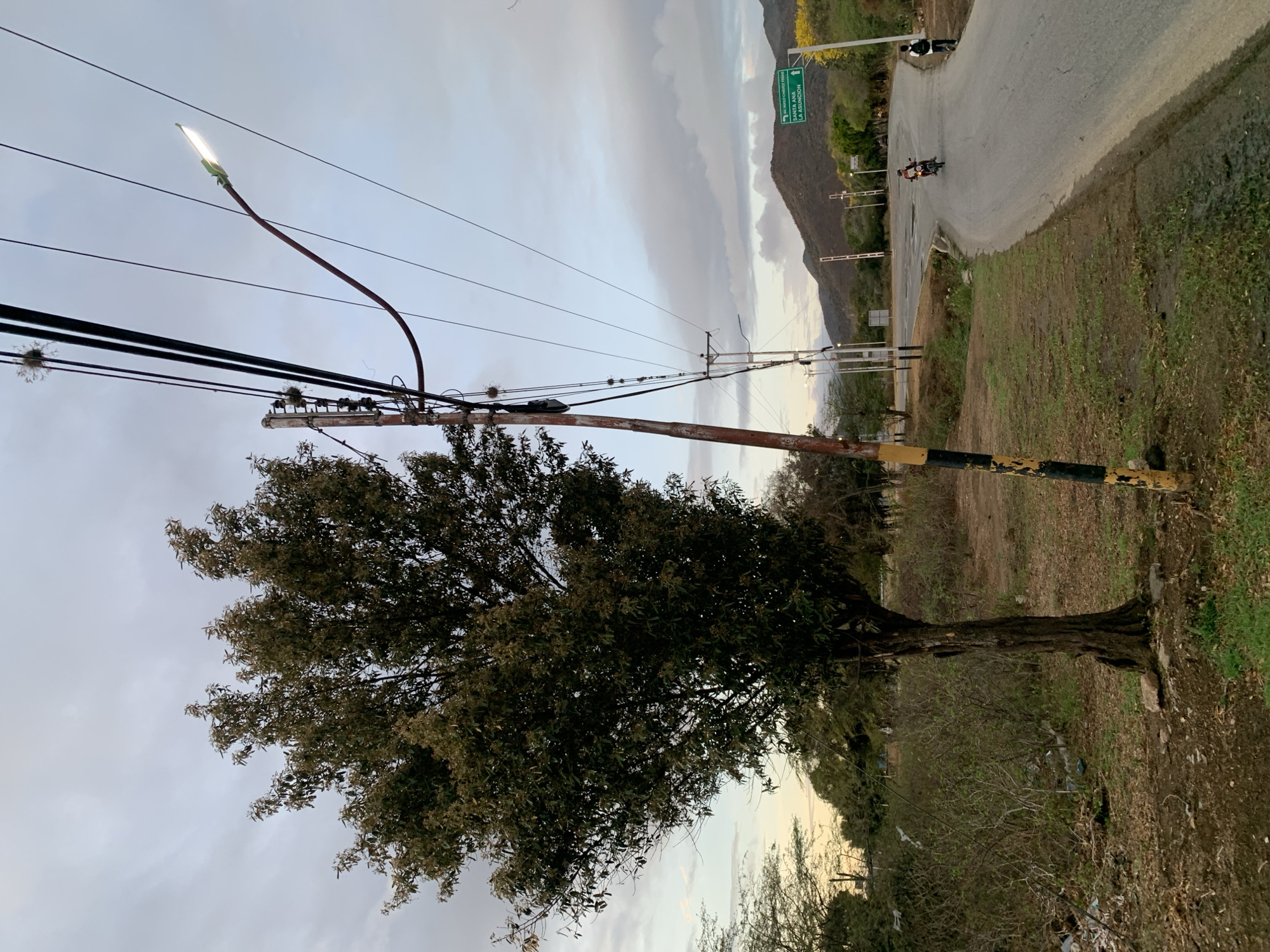 This media file captures a roadside scene, likely during dusk or early evening, in what appears to be a rural or semi-rural area near Santa Ana, Venezuela.
In the foreground, a large, leafy tree stands to the left, its dark green foliage contrasting with the overcast sky. To its right, a weathered wooden utility pole rises, painted with yellow and black stripes near its base, indicating it might be a hazard marker or part of a crossing. Multiple power lines extend from the pole, and a curved metal arm supports an illuminated street light, casting a bright glow. Small, fluffy white masses, possibly nests or debris, cling to some of the wires near the pole.
A paved road curves gently into the midground on the right side of the frame. A single motorcycle, carrying at least one rider, is visible on the road, heading away from the viewer. The ground on either side of the road is covered in dry, patchy grass and sparse vegetation, with some visible litter near the base of the tree and pole.
In the background, rolling mountains loom under a cloudy, muted sky, suggesting an impending weather change or the transition hour of the day. A green road sign is prominently displayed on the right side of the road, featuring white text and arrows. The text clearly reads: "EL MACCO CHACÓN" with an arrow pointing straight ahead, "SANTA ANA" with an arrow pointing straight ahead, and "LA ASUNCIÓN" with an arrow pointing to the right.