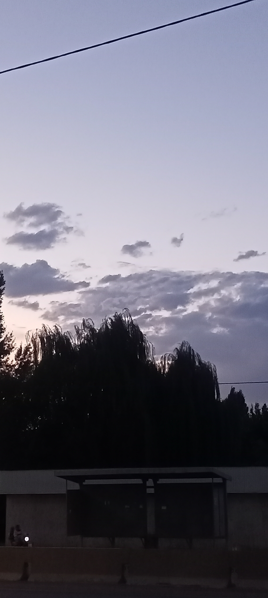 A silhouette of trees with wispy branches, likely weeping willows, is visible against a twilight sky with scattered clouds. In the foreground, a dark bus stop shelter with a roof and open sides is situated behind a concrete barrier. A vehicle with its headlight on is parked to the left of the shelter. The scene is set in Romanovka, Kyrgyzstan.