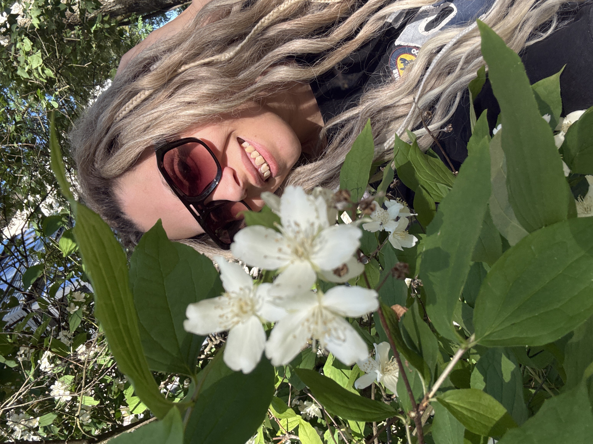 The image displays a close-up outdoor portrait of a smiling woman, partially framed by flowering foliage under bright sunlight. The woman, positioned on the right side of the frame, has long, wavy blonde hair styled with multiple dreadlocks and braids. She wears large, dark sunglasses with reddish-tinted lenses and a black t-shirt, which features a circular, multi-colored logo or emblem visible on her left chest area. Her head is tilted slightly, and she is smiling broadly, revealing her upper and lower teeth.
In the immediate foreground, to the left, are several clusters of white, five-petaled flowers with prominent yellowish stamens, consistent with a species like mock-orange or jasmine, intermingled with vibrant green, ovate leaves. These flowers and leaves partially obscure the left side of the woman's face and body. The background consists of denser green tree canopy and branches, with patches of clear blue sky visible through the foliage. The scene is illuminated by strong, direct sunlight, creating bright highlights and distinct shadows.
No specific geographical identifiers or landmarks visible in the image confirm the location as the city of Rusanovo, Russia.