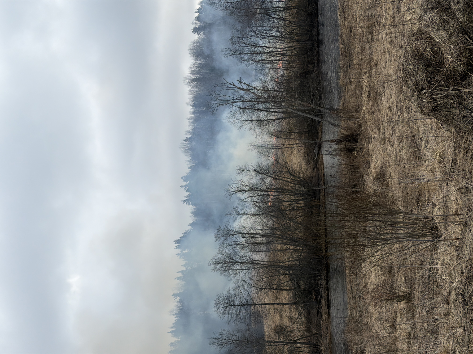 The image shows a landscape, likely in or near Bolshoy Sabsk, Russia, given the prompt context. The scene is divided into three main areas: sky, wooded area with smoke, and a field of dry grass.
The sky is overcast with grey and white clouds.
The wooded area to the left of the image contains trees with bare branches, obscured by heavy smoke. The smoke appears dense and suggests a fire in the vicinity. Some orange glow visible may indicate active flames.
The field to the right is mostly dry grass and dead vegetation. Some bare trees are seen within the field. There is a dark, narrow area that seems to separate the wooded area and the field, potentially a road or small body of water.