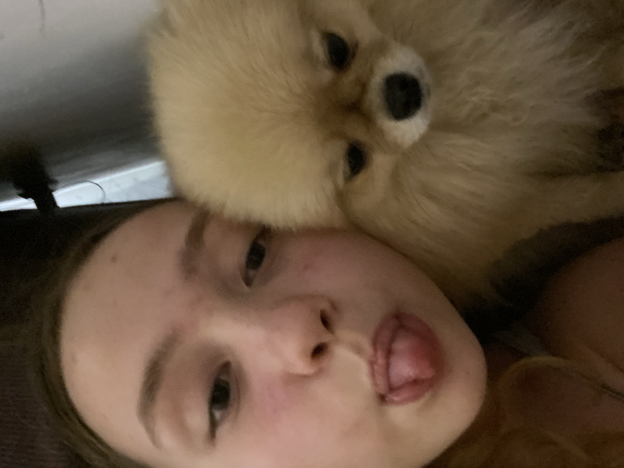 A selfie taken at close range features a young person lying on their back with a tan Pomeranian dog resting directly on their head. The young person has light skin, brown eyes, and is sticking their tongue out. The dog is fluffy with a tan coat and dark eyes and nose. The background includes a pale surface and a dark object that could be part of furniture. The location is Unknown, Unknown.