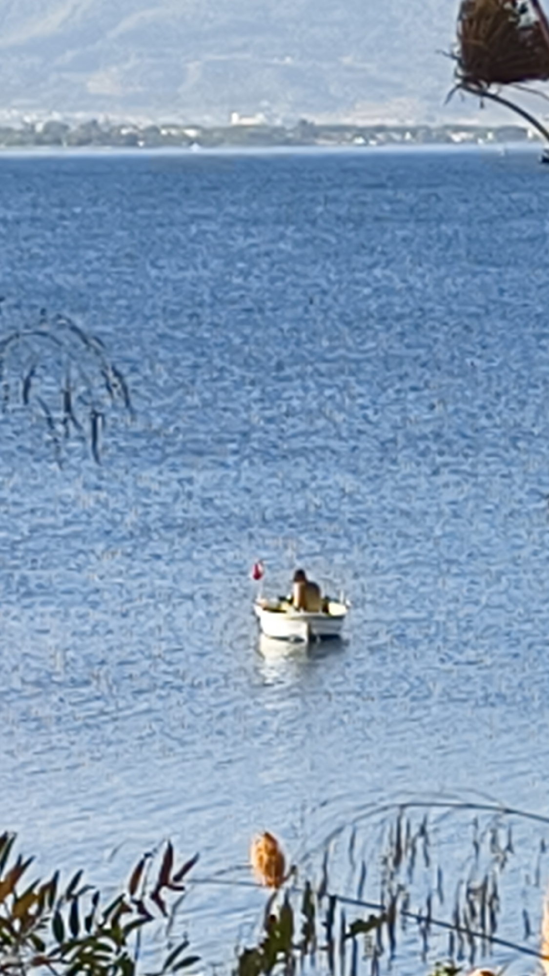 A single person is seated in a small white boat on calm blue water. The person is wearing a tan shirt and is facing away from the camera, towards the left side of the boat. A small red flag with a white crescent and star, the Turkish flag, is attached to a pole at the stern of the boat. In the background, a hazy coastline is visible with mountains beyond. The foreground shows the tops of plants with brown foliage. The overall scene suggests a peaceful day on the water, potentially in Kuşadası, Turkey, given the flag.