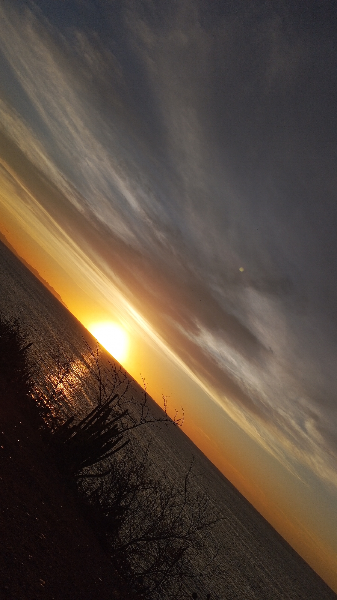 The image shows a sunset over the ocean, likely in Juan Griego, Venezuela, due to the topography. The horizon is diagonally oriented in the frame. The sun is setting over the water, creating a bright glare reflecting on the sea. Silhouetted vegetation, possibly cacti and bare trees, is visible in the foreground on the left side of the image. The sky is streaked with clouds, ranging from orange and yellow near the sun to gray in the upper right. A landmass is faintly visible in the distance on the horizon to the left of the sun.