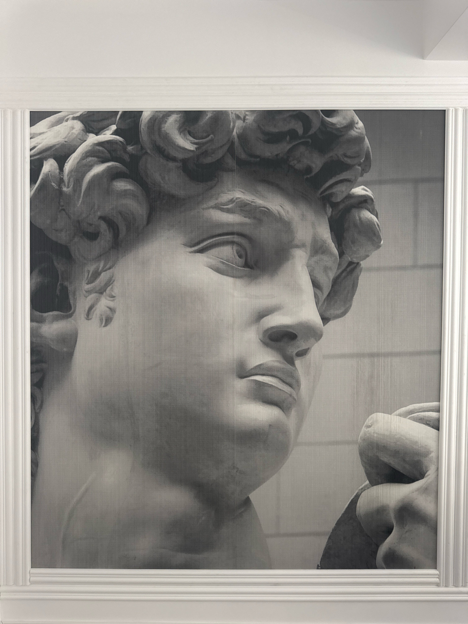 The image shows a framed black and white mural or print of Michelangelo's David sculpture, focusing on the head and upper torso. The sculpture is rendered in a realistic style, with attention to the muscular form and facial features. The background of the mural appears to be a tiled wall, though this detail is blurred. The mural is set within a white, ornate frame that matches the surrounding wall trim. The overall scene suggests an indoor setting, possibly a home or public space, decorated with a classical art motif. The location is stated as Agios Tychona Community, Cyprus.