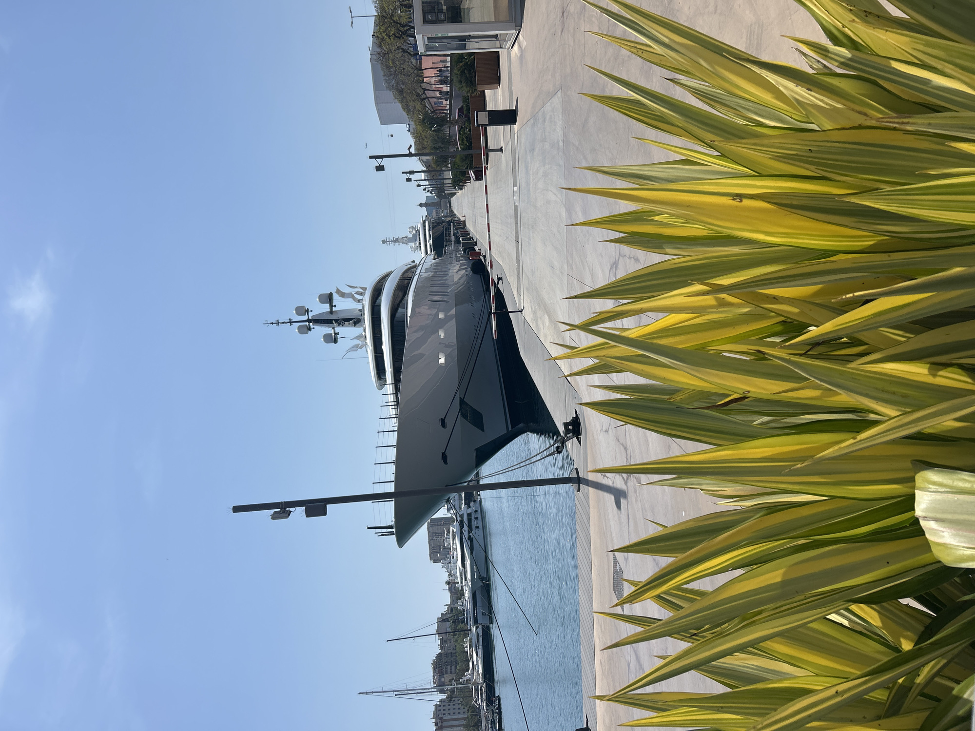 The image depicts a large, dark-hulled yacht docked in Barcelona, Spain, likely in the port area. The yacht is the primary subject, positioned along a concrete pier. A row of streetlights runs along the pier, and buildings can be seen in the background. Yellow and green variegated plants fill the right side of the frame. The sky is clear and blue. Other vessels are visible further out in the water. There is no people in view.