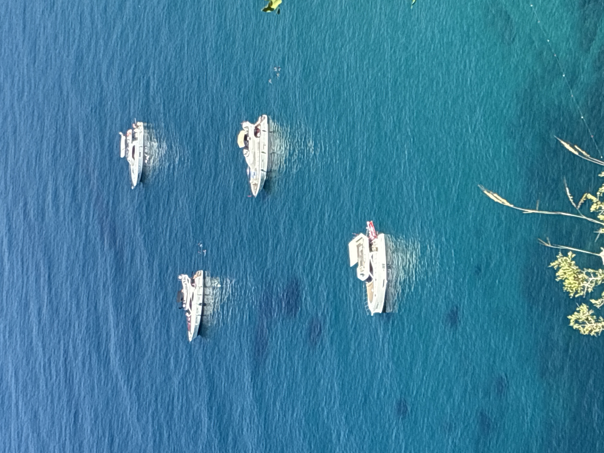 The image displays an overhead perspective of the Mediterranean Sea off Alanya, Turkey. The water is clear and exhibits a blue-green coloration. Four white motor yachts are visible across the frame, all appearing to be stationary. One yacht is positioned in the upper-right quadrant, another in the mid-left, a third in the mid-right, and a fourth, larger yacht, with a red inflatable dinghy secured to its stern, occupies the lower-center. Several small, dark shapes, consistent with human figures, are discernible in the water adjacent to the mid-left and mid-right yachts. Submerged darker patches indicate variations in seabed depth or features. A segment of a yellow object is partially visible along the far-right edge of the frame. The bottom foreground shows green foliage, including grasses, suggesting the image was captured from an elevated coastal position.