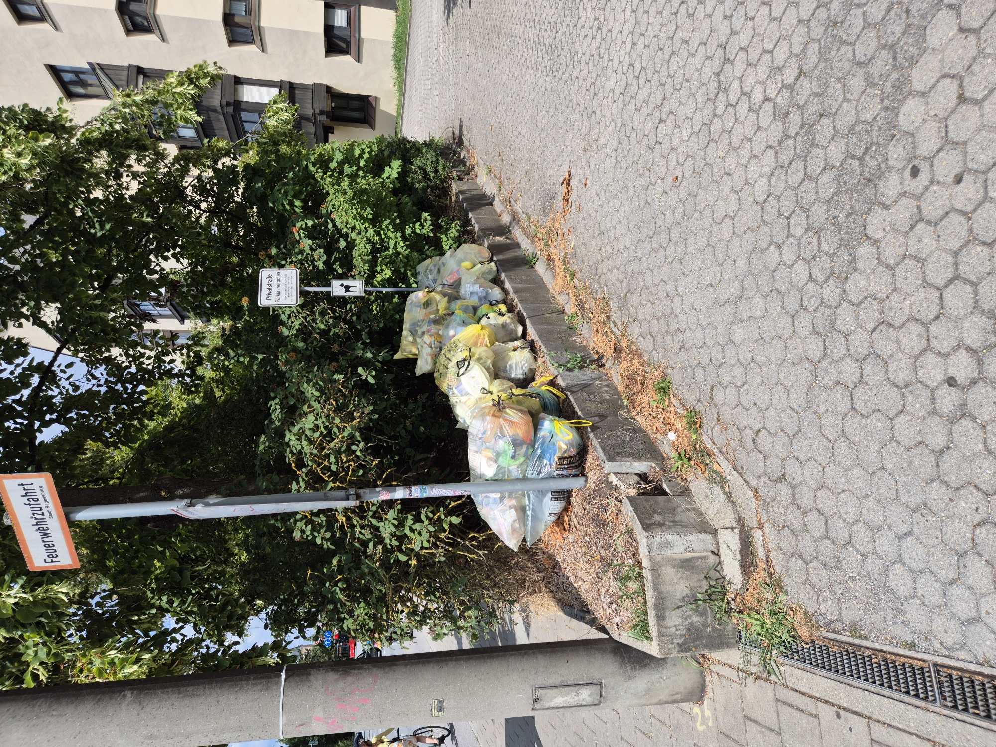 An outdoor, eye-level, full shot captures a row of transparent and yellow trash bags filled with sorted recyclables, arranged along a raised concrete curb in front of a dense green bush. The trash bags are gathered near a metal pole that holds two signs: one orange sign reading "Feuerwehrauffahrt" (Fire Department Access) with smaller text "Stadt Regensburg," and a white sign with a black silhouette of a dog and the text "Privatstraße Parken verboten" (Private Road No Parking). To the left of the pole, a large, grey concrete pillar stands, with some pink graffiti on its surface. Beyond the trash bags, a multi-story residential building with balconies and numerous windows is visible. To the left of the pillar, a person on a bicycle is visible from the waist down, wearing a yellow top and cycling away from the viewer. The ground is paved with grey hexagonal interlocking stones, and a metal drainage grate is visible on the left side of the frame. The scene is illuminated by bright daylight, casting shadows.