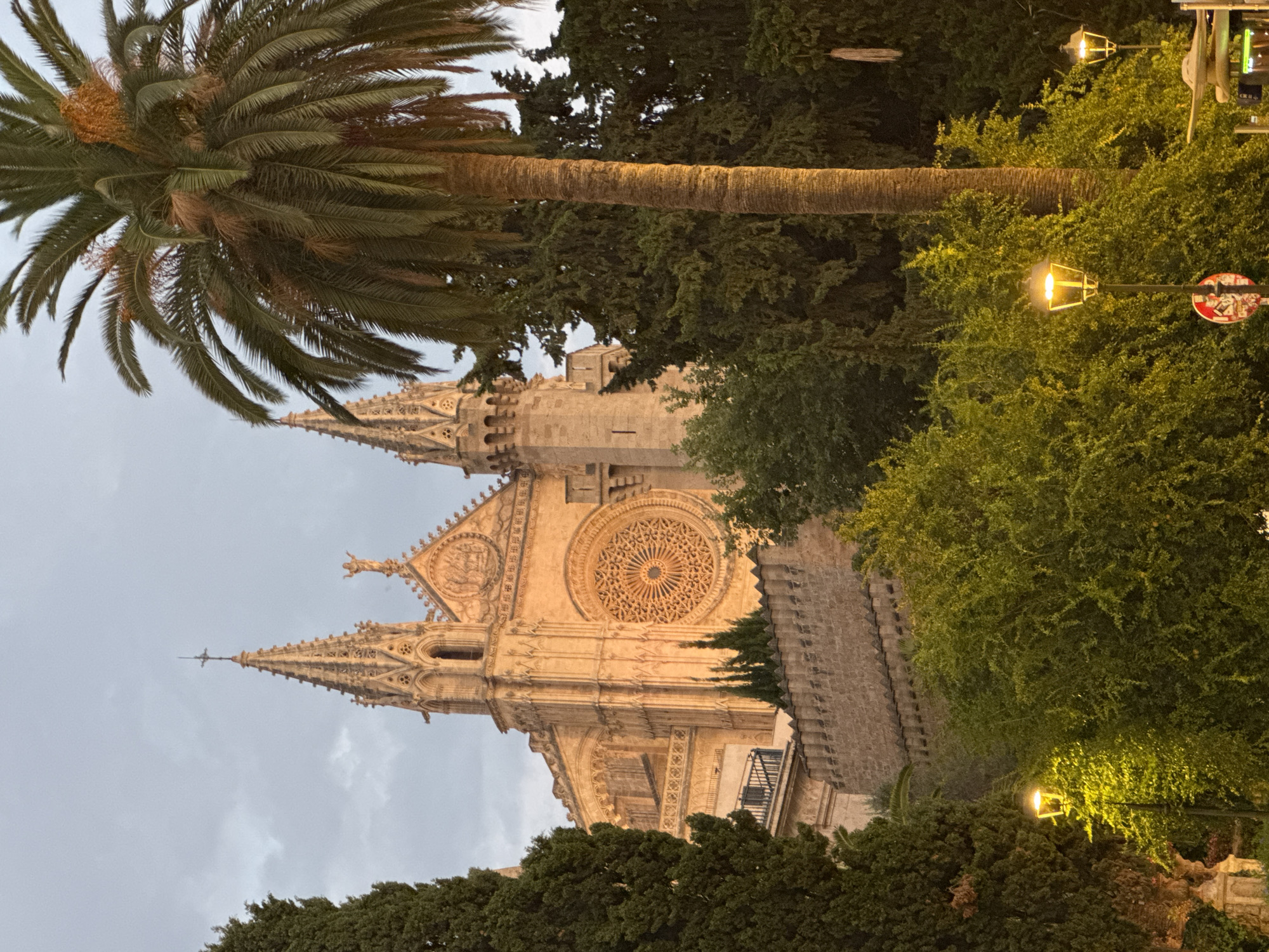 The image depicts the exterior of the Palma Cathedral, also known as La Seu, in Palma, Spain, at dusk. The grand Gothic cathedral dominates the background, constructed from golden sandstone. Two prominent spires rise from the roofline, topped with crosses. A large, circular rose window is visible on the cathedral's facade, intricately designed.
In the foreground and mid-ground, lush green trees and foliage obscure parts of the cathedral and the surrounding area. A tall palm tree stands prominently to the right of the frame, its fronds reaching towards the sky. Several streetlights with warm, yellow illumination are present, casting light on the surrounding greenery and parts of the cathedral. A stone wall borders a section of the property. The sky above is cloudy and muted in color, indicative of twilight. There are no people visible in the scene.