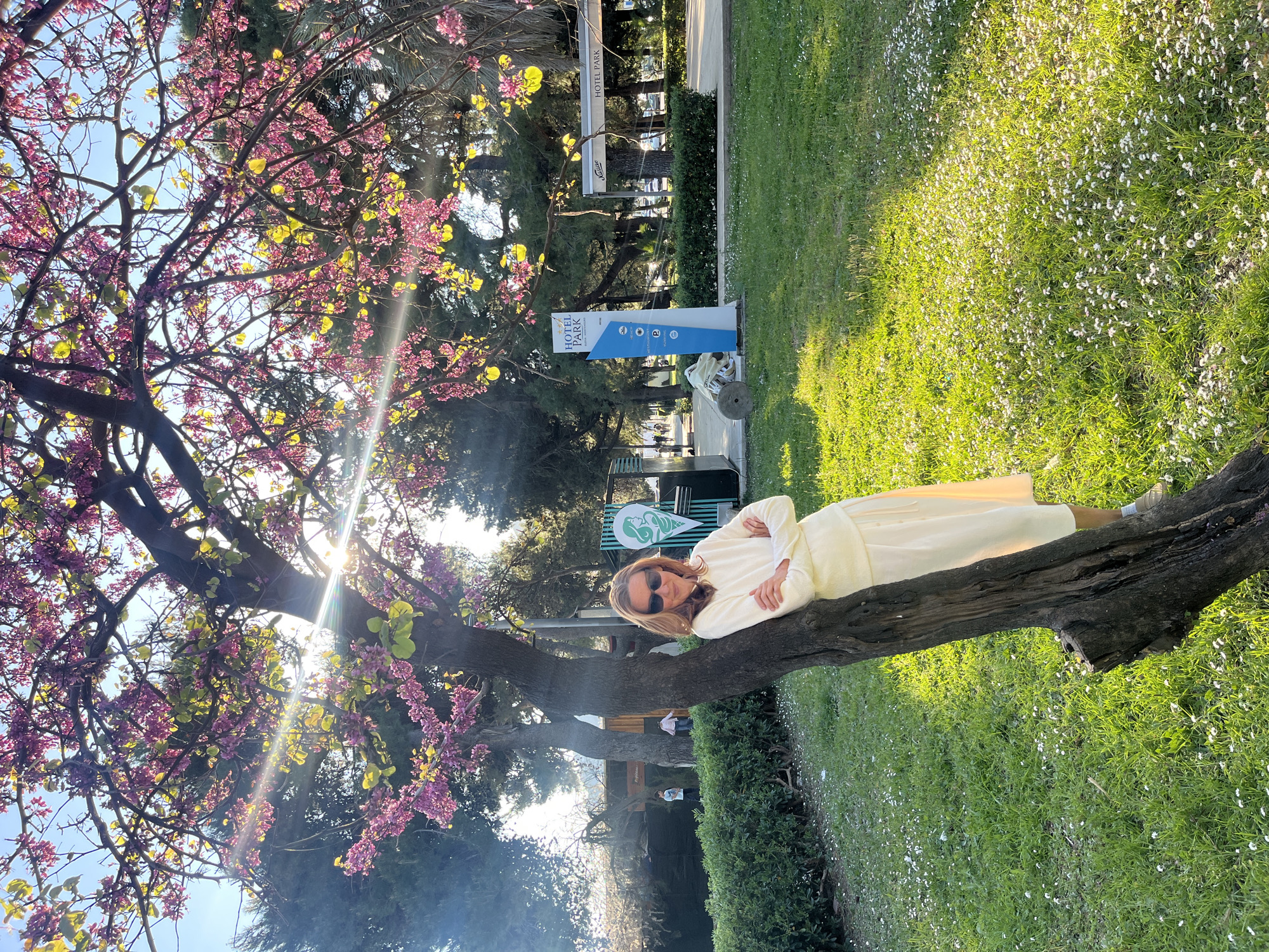 A woman is lying on a tree branch in a park-like setting. She is wearing sunglasses and a light-colored, possibly white, long-sleeved garment. She is positioned horizontally on the branch, with her head near the base of the tree and her feet towards the right side of the frame.
The tree itself is in full bloom, with pink and yellow flowers visible. The sun is shining through the branches, creating a lens flare effect. The ground is covered in green grass, with small white flowers scattered throughout.
In the background, there is a paved area with signs and what appears to be a hotel or park entrance. The signs seem to feature the name "HOTEL PARK." The location is likely in Budva, Montenegro, based on the "HOTEL PARK" signage, which is a known hotel in that city.
The scene is likely outdoors and taken during the daytime. There are other trees and foliage in the background, suggesting a park or garden environment. The woman appears to be relaxing or posing for a photograph.