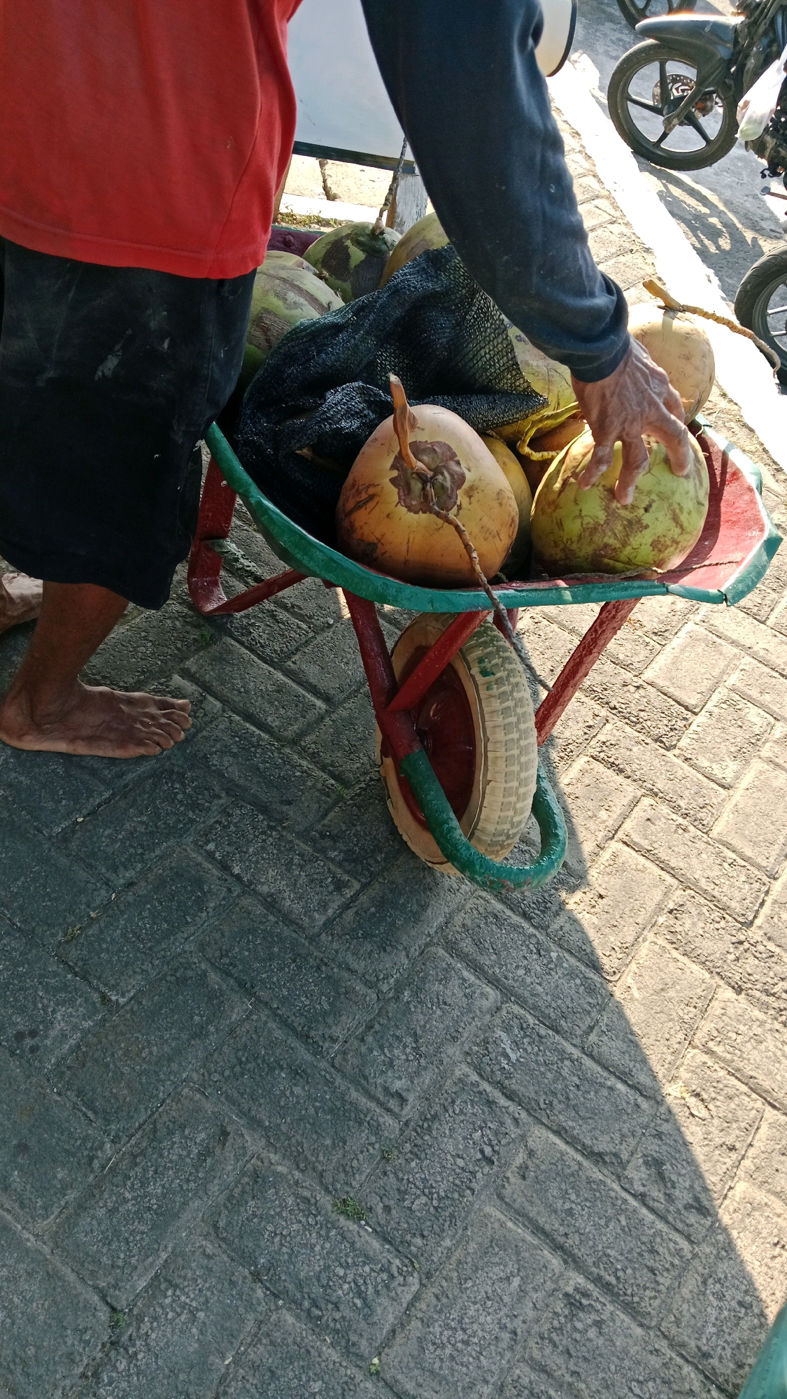 In Sukowinangun, Indonesia, a person wearing a red t-shirt and black shorts pushes a wheelbarrow filled with coconuts. The wheelbarrow has a red frame and a green rim. The coconuts are of various sizes and colors, with some being green and others yellow. A person's hand is visible, reaching for a coconut. The scene takes place on a paved sidewalk. In the background, a motorcycle is parked, and the sun casts shadows on the ground.
