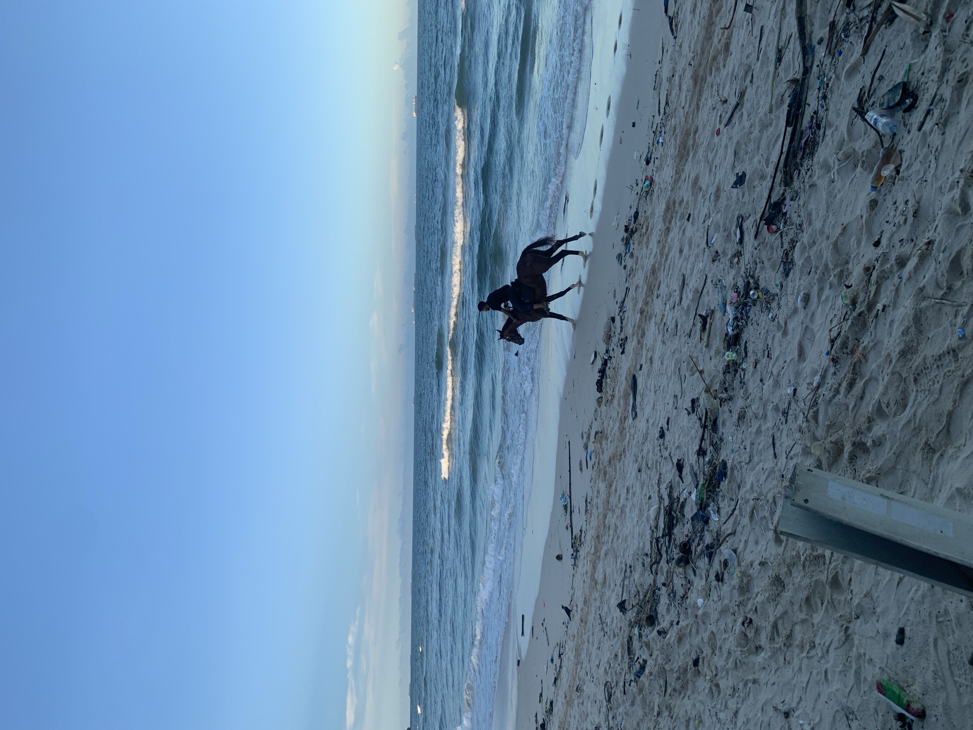 The image, originally oriented vertically but depicting a horizontal scene, shows a person riding a horse along a sandy beach. The dark horse and its rider are positioned in the shallow surf, with small waves breaking around the horse's legs. The ocean stretches across the left, displaying moderate waves, while the clear blue sky dominates the top.
The activity depicted is horseback riding along the shoreline. The lighting suggests either early morning or late afternoon, with a soft, natural glow. A notable detail is the condition of the beach, which is heavily littered with various debris including plastic bottles, bags, and natural elements like branches and leaves scattered across the sand. Footprints are also visible in the sand. In the bottom right corner, a partial view of a light-colored, possibly metallic or wooden, structure is present. The general setting is a coastal area, contextualized as Dar es-Salaam, Tanzania. No visible text is present in the image.