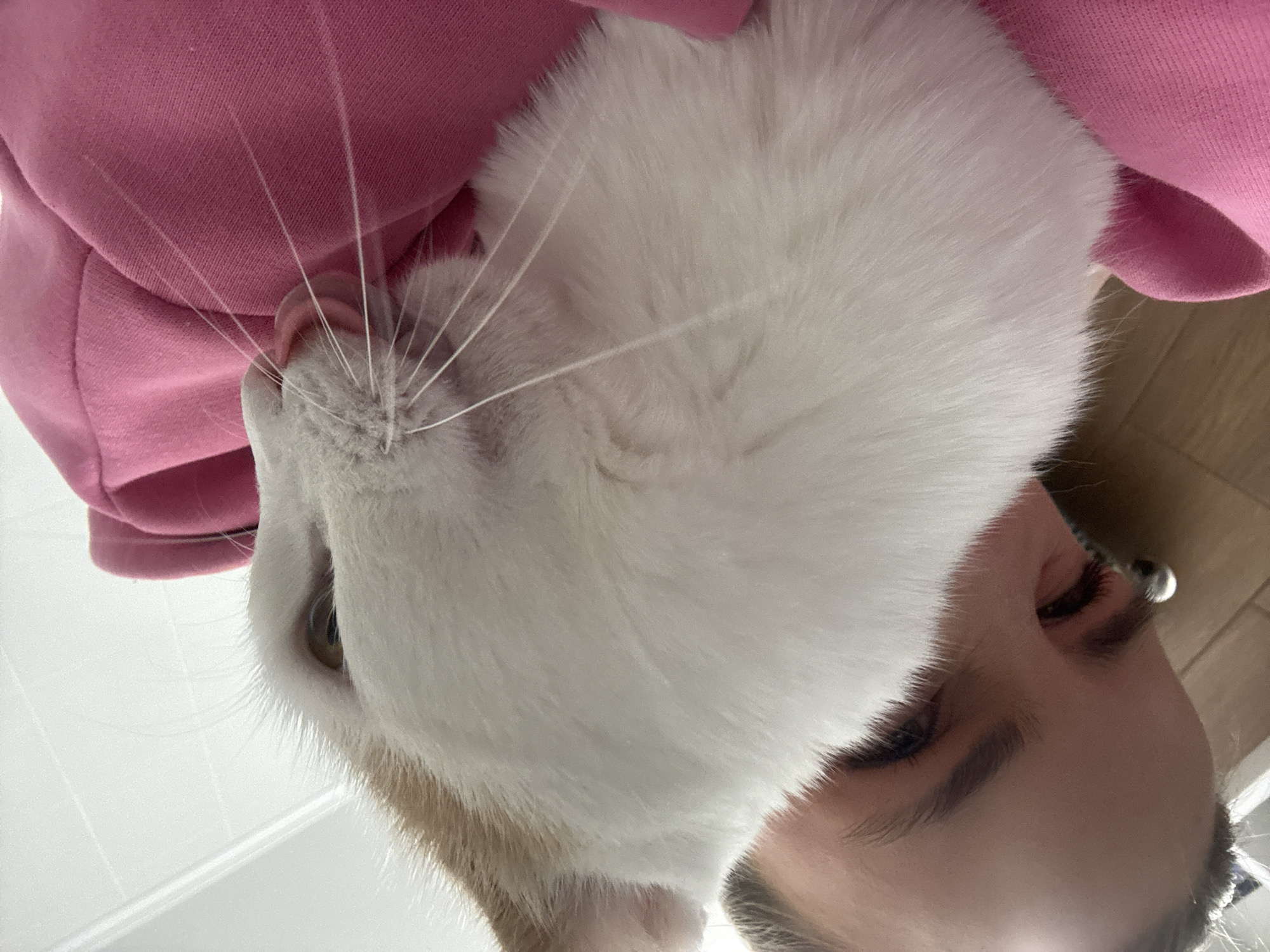 A close-up, upward-angled photo shows a person holding a white cat close to their face. The person wears a pink hooded sweatshirt. The cat's face dominates the upper portion of the frame, with long white whiskers visible. Part of the person's face, including an eye, eyebrow, and ear, is visible in the lower right of the frame. A wooden floor is partially visible in the background. The location is not evident from the image.