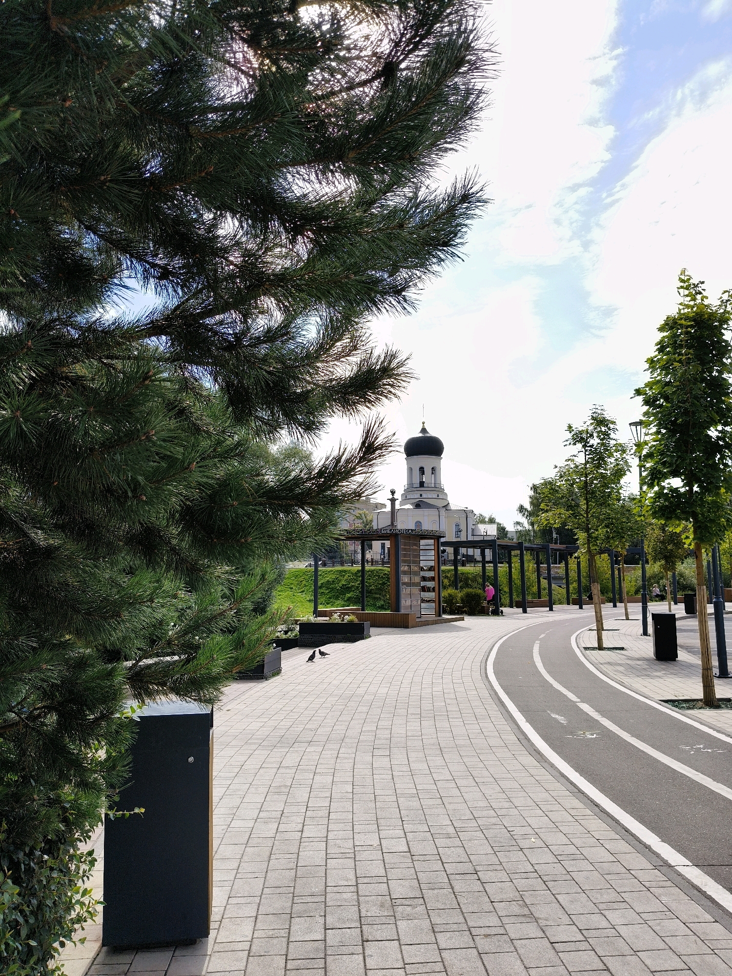 The image depicts a park pathway in Naro-Fominsk, Russia, with a winding asphalt path for cycling and walking, bordered by a paved pedestrian walkway. A large pine tree dominates the left foreground, its branches obscuring part of the sky. In the background, a white church with a black dome is visible, alongside trees and architectural elements suggesting a public space. The pathway is lined with young trees in planters, streetlights, and trash receptacles. Two pigeons are present on the pedestrian walkway. The overall scene suggests a well-maintained urban park on a bright, partly cloudy day.