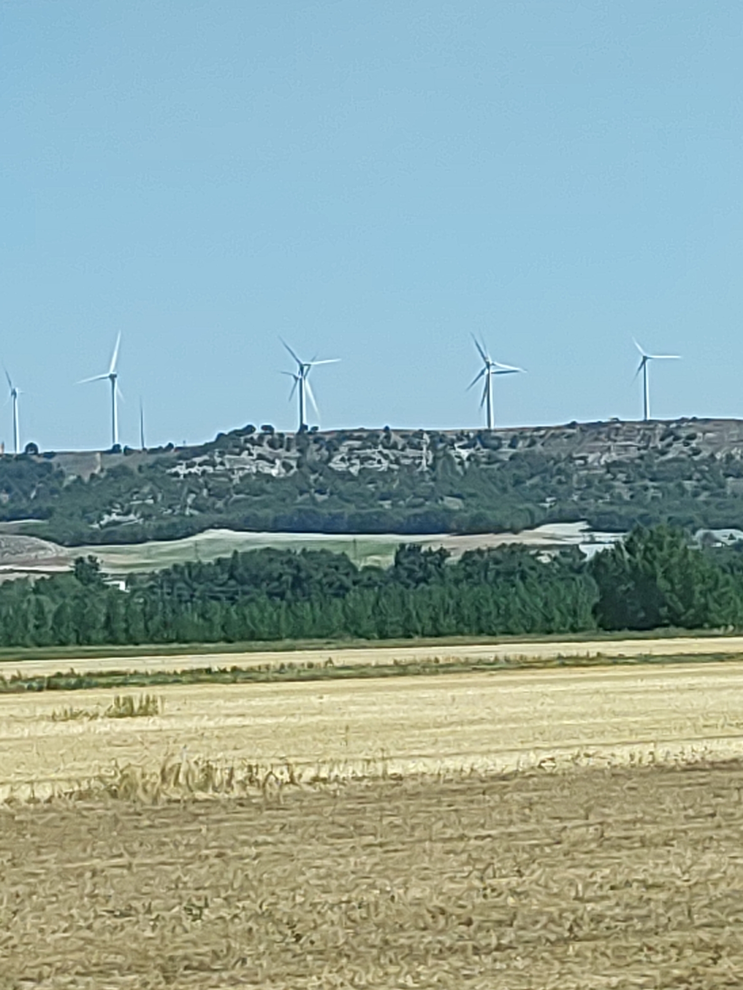 The image depicts a rural landscape with a clear blue sky. In the foreground, a field of harvested crops, likely wheat or barley, is visible, showing rows of stubble. Beyond this field, a dense line of green trees separates it from a hilly terrain. The hills are dotted with some vegetation and what appear to be structures, possibly houses, forming a small settlement. Dominating the skyline atop the hills are several wind turbines, with their blades extended. The scene suggests a sunny day in a rural area of Palencia, Spain, likely a region known for its agricultural activities and renewable energy infrastructure. There are no people or animals visible in the image.