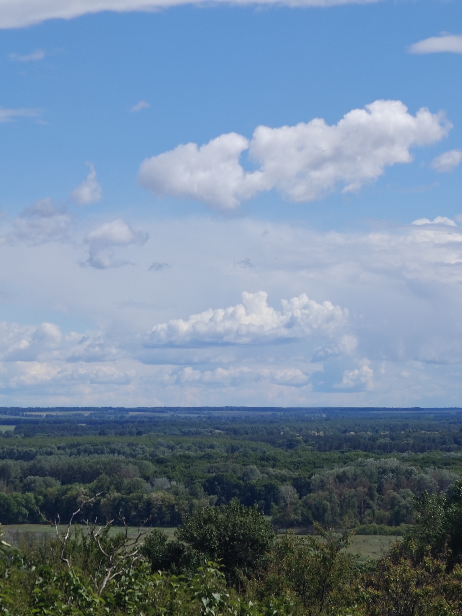 The image depicts a landscape in Knyshivka, Ukraine, under a partly cloudy sky. A dense forest covers the midground, with a flat horizon in the distance. In the foreground, there are bushes and trees at a lower level, suggesting a higher vantage point. The sky is blue with scattered white clouds of varying sizes.