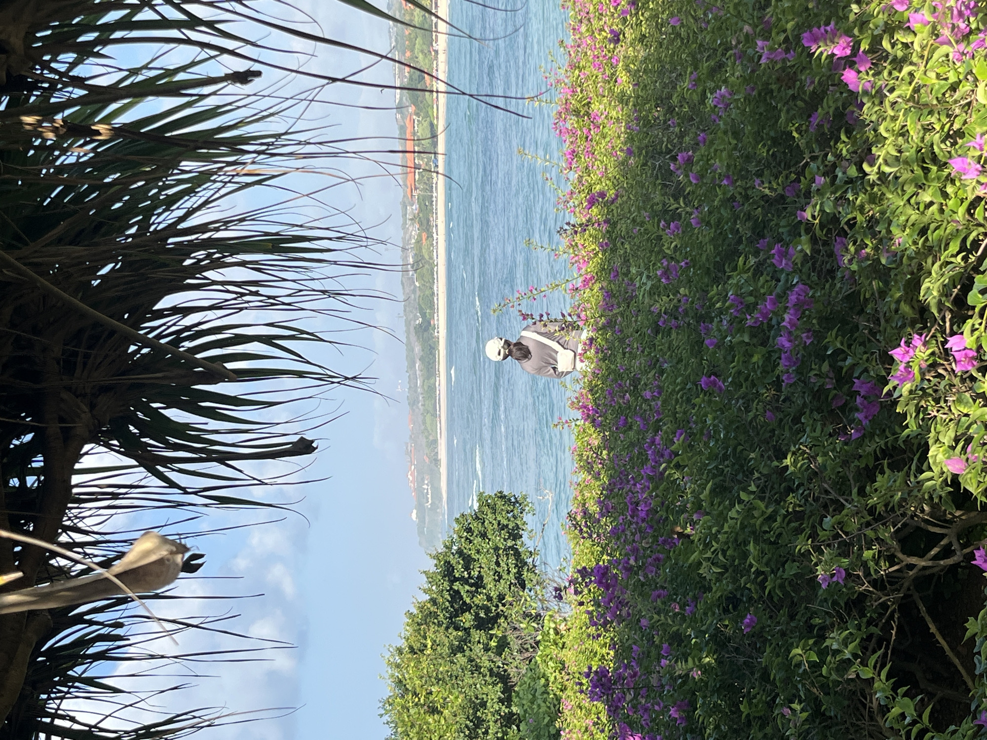 The image depicts a serene coastal view in Kuta Selatan, Indonesia, framed by lush greenery and palm fronds. In the foreground, a dense thicket of vibrant purple bougainvillea flowers thrives, interspersed with green foliage. A single person, viewed from behind, stands amidst the flowers, facing a calm blue ocean. The individual wears a grey hoodie, a white cap, and a white crossbody bag. Beyond the water, a distant shoreline is visible, dotted with buildings and a beach lined with umbrellas. The sky above is a clear, bright blue with scattered white clouds. The overall scene evokes a sense of tranquility and natural beauty.