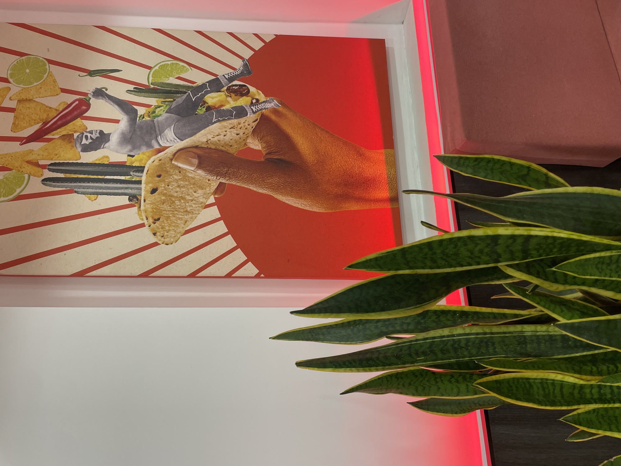 The image shows a framed collage-style artwork hanging on a white wall. The artwork features a brown hand holding a taco against a background of red lines radiating from a red circle. Superimposed elements in the artwork include a luchador wrestler, tortilla chips, a red chili pepper, lime slices, and a cactus. A snake plant with yellow-edged green leaves is positioned to the right of the artwork, partially obscuring the right edge of the frame. A pink-red light illuminates the right edge of the artwork and the surrounding wall. The location is Yerevan, Armenia.
