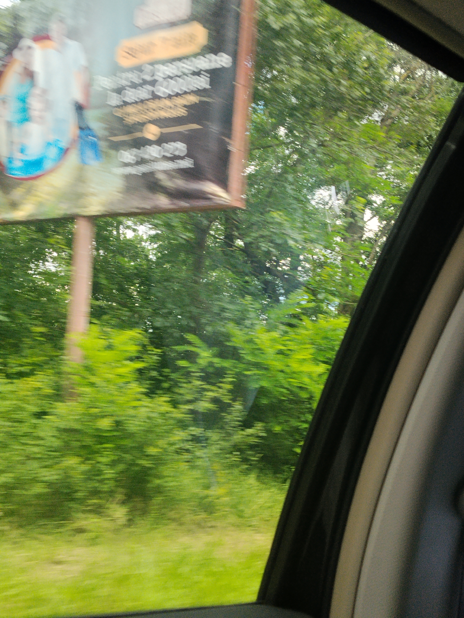 The image depicts a motion-blurred view from inside a vehicle, looking out a window. A large billboard is partially visible on the left side of the frame. The billboard features images and text, though it is heavily blurred due to the motion. The background is filled with green foliage, suggesting a natural or park-like setting. The sky is bright, indicating daylight. The location is specified as Vadul lui Voda, Moldova, implying this scene is captured within or near this city. The overall impression is one of movement through a landscape with a prominent advertisement.