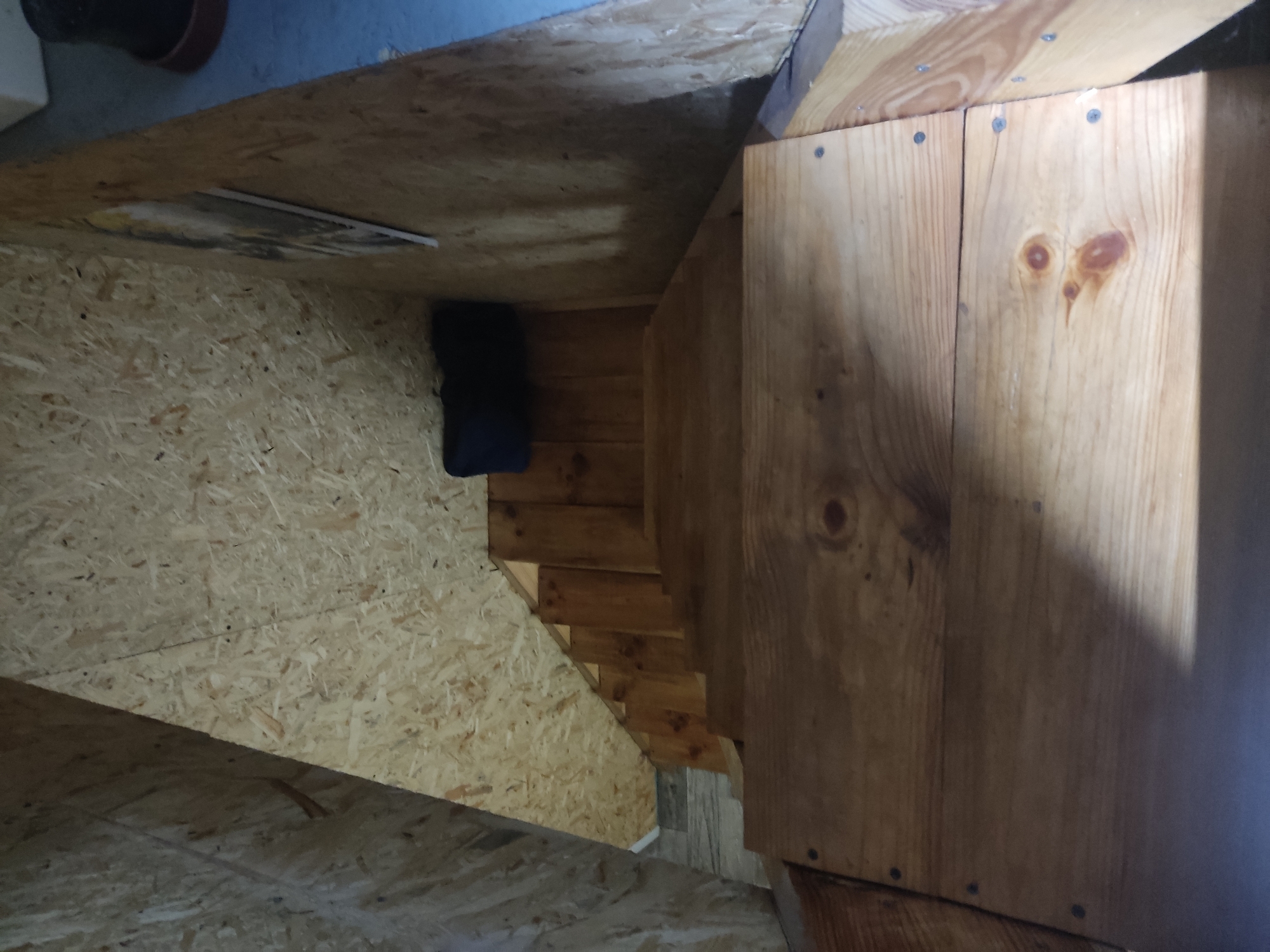 This is a photograph of a wooden staircase inside a building. The walls and ceiling appear to be constructed of oriented strand board (OSB). A dark blue cushion is visible on the stairs. A framed picture is hanging on the OSB wall. The image was taken from a downward-facing perspective, looking down the staircase. The location is not specified in the image or the provided text.