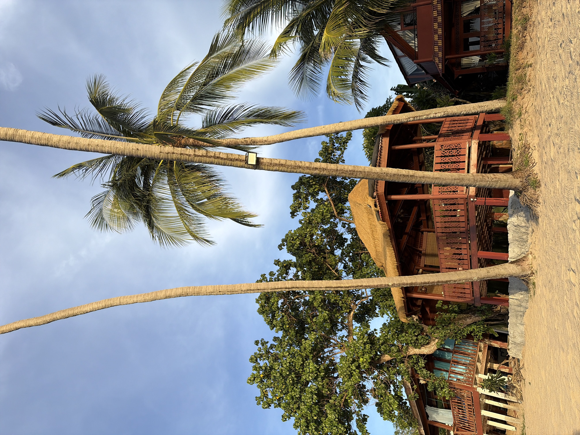 In Baan Tai, Thailand, a tropical beach scene unfolds. Two tall, slender palm trees dominate the foreground, their rough bark textured and their fronds reaching towards a pale blue sky dotted with wispy clouds. To the left, a two-story wooden bungalow stands on stilts, its weathered exterior painted in shades of blue and brown. A light blue towel hangs from its balcony railing. Next to it, a smaller, octagonal wooden structure with a thatched roof also rests on stilts, featuring intricate carvings on its railings. Further to the right, another wooden building with a triangular roofline is visible. The structures are set on a sandy beach, with exposed tree roots visible at the base of the palm trees and scattered foliage around the buildings. The lighting suggests late afternoon sun, casting warm tones on the scene. There are no people present.