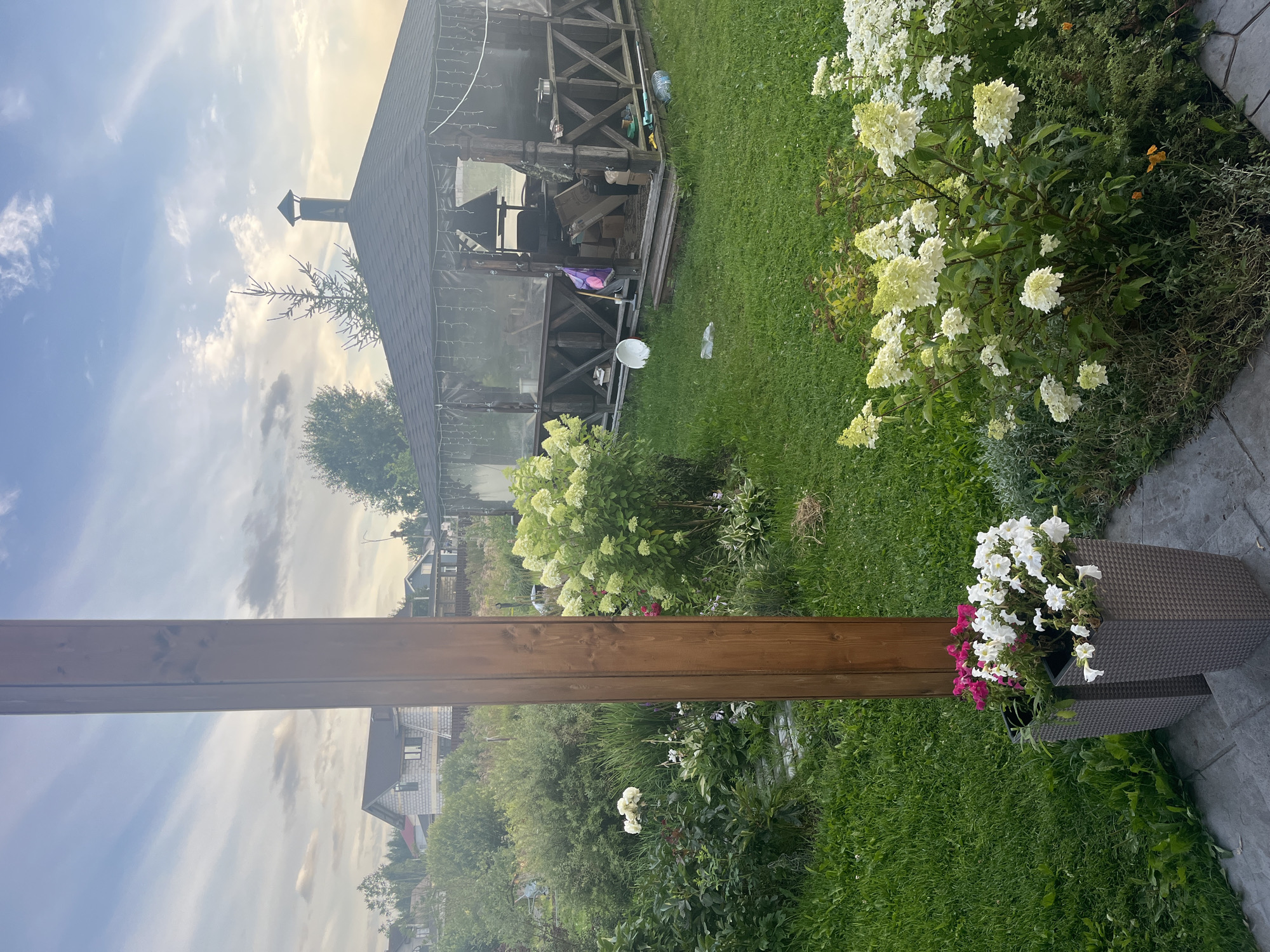 The image depicts a backyard scene in Vladimirovka, Russia, at dusk. A wooden gazebo with a dark, pitched roof and visible lattice work on its sides stands on a grassy lawn. The gazebo is equipped with a chimney and appears to have a transparent covering. Inside, a grill and various items are present, including boxes, a purple bag, and a white bowl. In the foreground, a wooden post is positioned to the left, and two tall, square planters filled with white and pink petunias sit on a paved area. The surrounding landscape features lush green grass, various flowering bushes with white and light green blooms, and other foliage. In the background, houses and trees are visible under a cloudy sky.