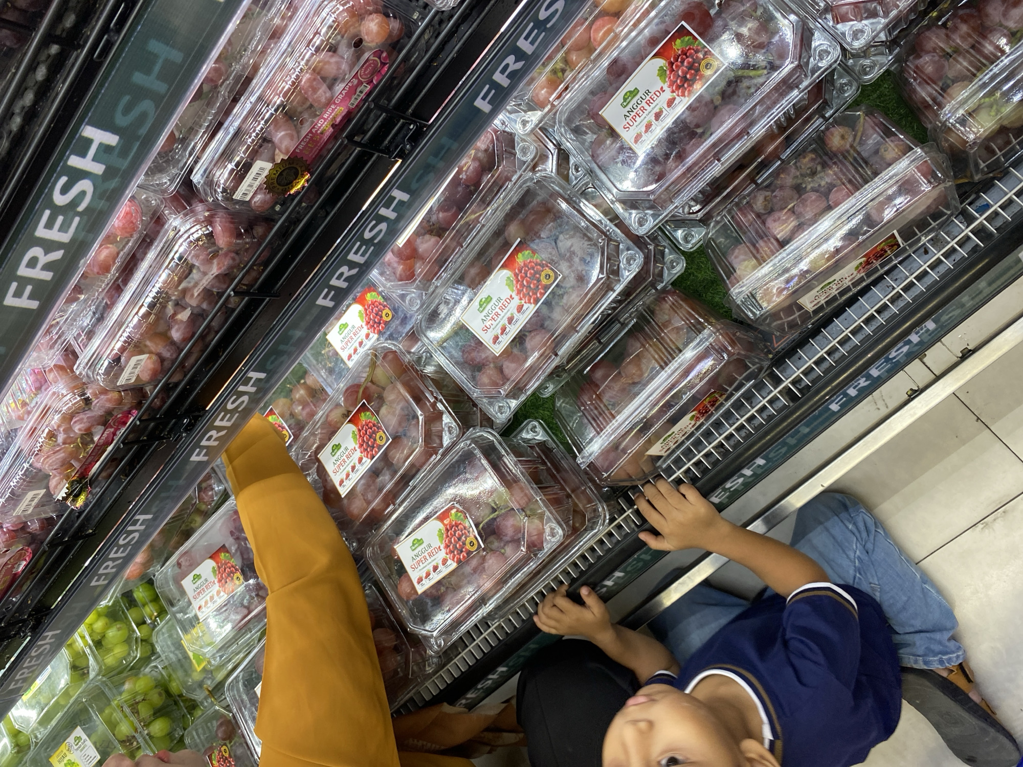 In a supermarket produce aisle, likely within the city of Banda Aceh, Indonesia, a young child wearing a blue t-shirt and blue jeans is looking up towards a display of grapes. The child is sitting on the floor. An arm, covered by a bright yellow sleeve, is reaching towards the display. The shelves are filled with plastic containers of red grapes, labeled "ANGGUR SUPER RED" and "FRESH AND RIPE GRAPES". The word "FRESH" is prominently displayed on a dark green strip above the grape containers. The lighting suggests an indoor commercial environment.