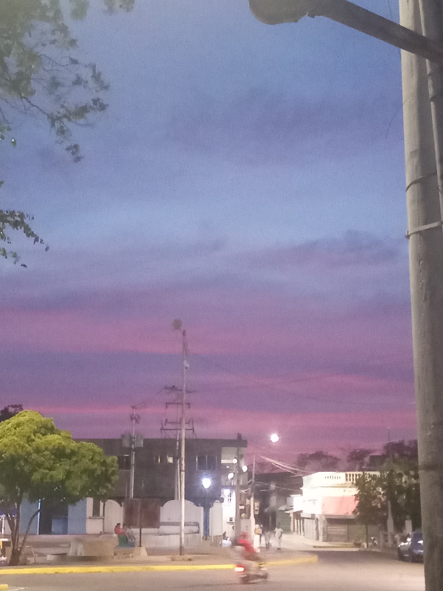 The image depicts an evening scene in what appears to be a city street in Juan Griego, Venezuela. The sky is a blend of blue and purple hues, indicating either sunset or twilight.
Buildings of varying heights and architectural styles line the street. A large tree with green leaves is visible on the left side of the frame. Power lines and utility poles run through the scene.
In the street, there is a single person riding a scooter. Additionally, there are a couple of people sitting on a bench. A light-colored curb separates the sidewalk from the street. A concrete utility pole stands prominently on the right side of the frame, partially obscuring the view.
