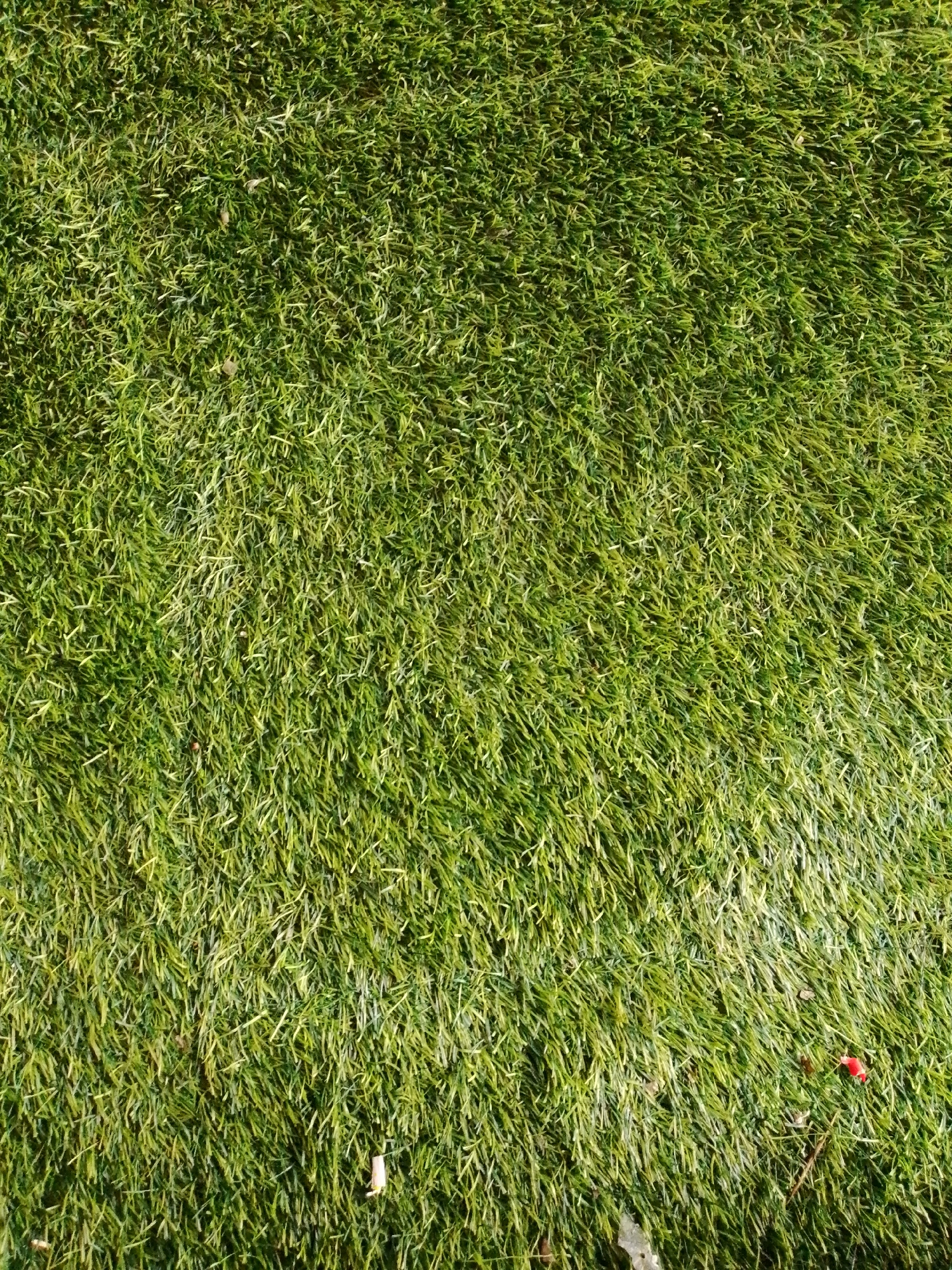 The image shows a close-up, top-down view of artificial turf. The turf is a vibrant green with some lighter green and yellow strands mixed in, creating a naturalistic look. The texture is dense and slightly uneven, with individual blades of grass clearly visible. In the bottom right portion of the image, a small, bright red object is visible, possibly a piece of debris or a small flower petal. The background is entirely composed of this artificial grass. There are no people or discernible actions taking place. The setting appears to be outdoors, given the natural lighting and the presence of what looks like a bit of dried leaf litter scattered amongst the grass. The image is likely taken in Barikin Jirga Summa, Nigeria, as per the prompt.