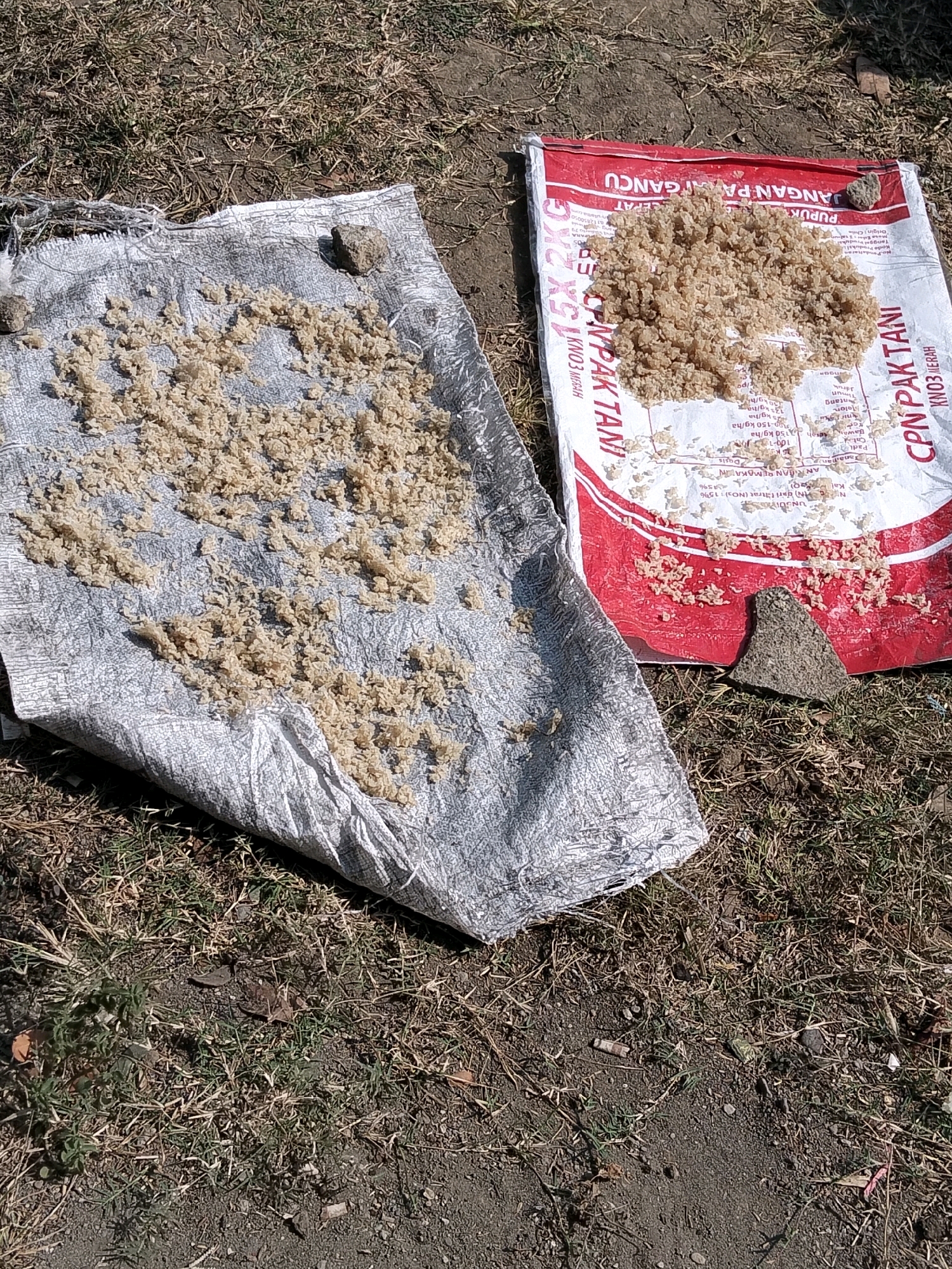 In Gempolan, Indonesia, a scene unfolds on dry, sun-baked earth with sparse, dry grass. Two large sacks, one silver and the other white with red markings and text, are laid out on the ground. Scattered on both sacks, and to a lesser extent on the ground surrounding them, is a light-brown granular substance, possibly fertilizer or feed. The silver sack is partially rolled up, while the white sack is mostly flat, displaying legible text in Indonesian, including "JANGAN PAKAI GANCU" and "CPN PAK TANI." Several small, grey stones are placed on the sacks, appearing to be weights or markers. The lighting suggests it is daytime, with shadows cast by the objects. The overall impression is a preparation or storage of material outdoors.