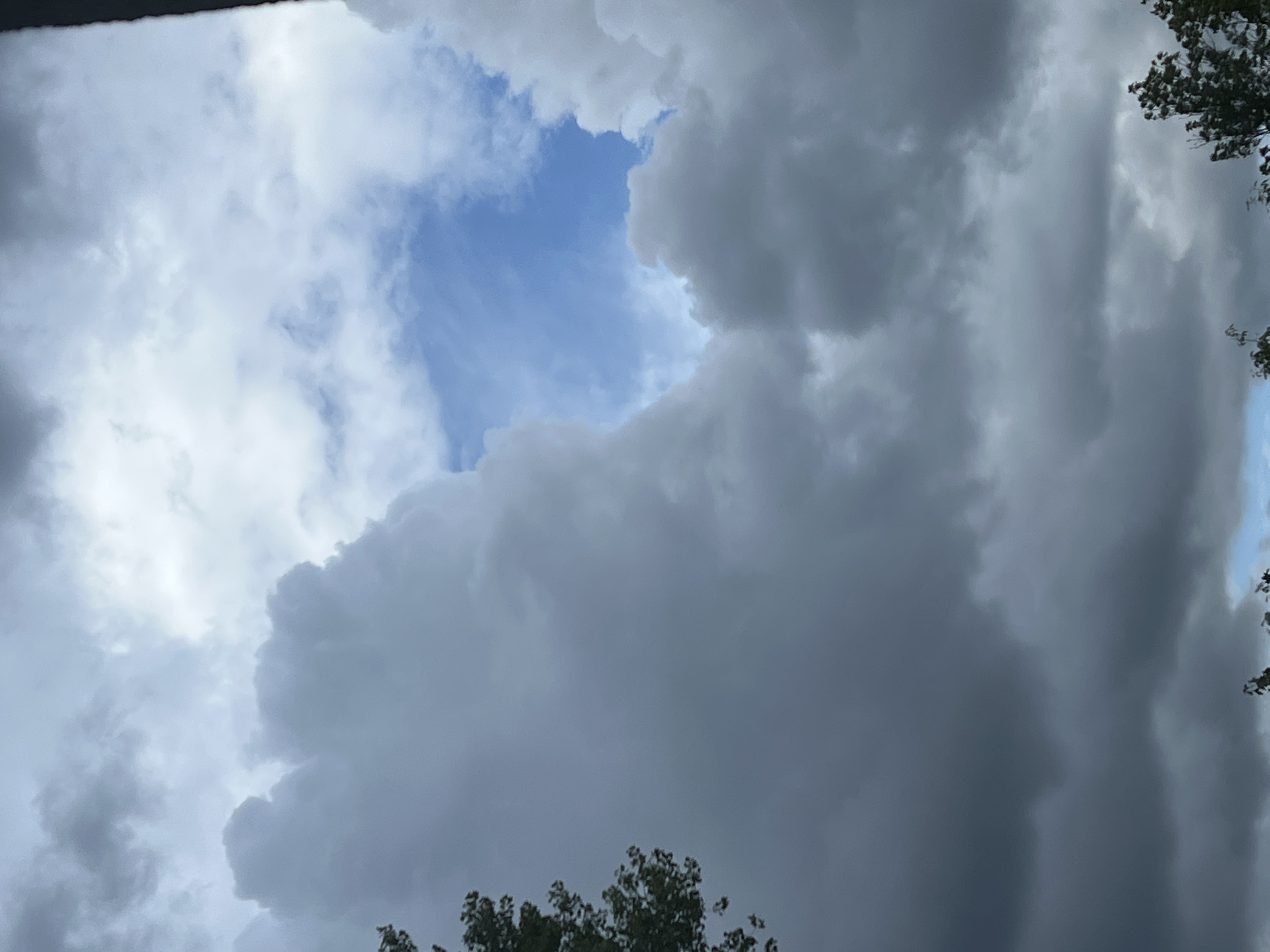 The image is a photograph of a cloudy sky. The clouds are dark and gray, with a patch of blue sky visible in the center. There are some trees visible at the bottom of the image. The image does not contain any information about the location of the scene within the city of Warsaw, Poland, nor does it contain any people, subjects, objects, or actions. The photograph appears to be taken from a low angle, looking up at the sky.