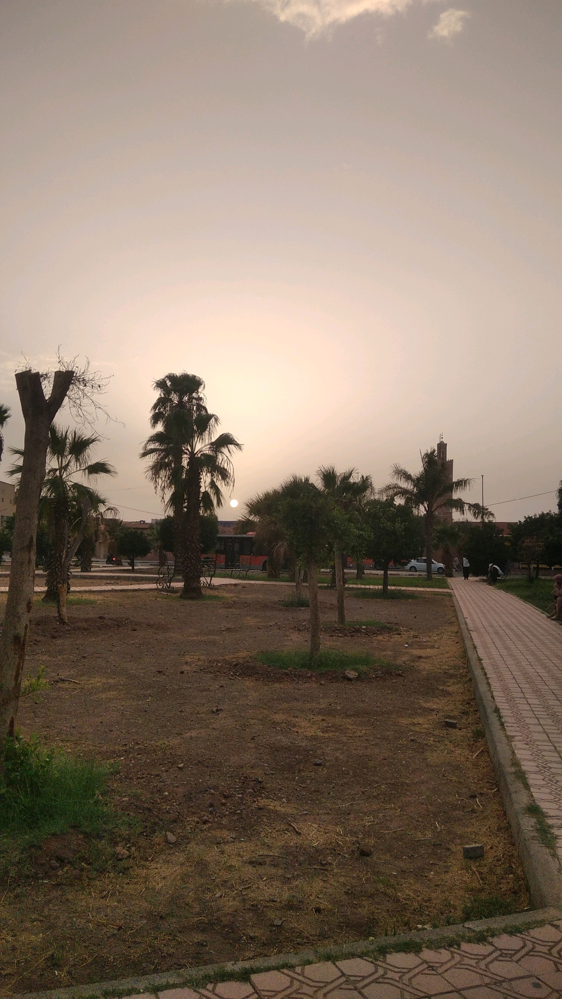 The image depicts an outdoor scene in Marrakech, Morocco, likely during sunset or a hazy day, given the soft, diffused light. The foreground is a dirt and patchy grass area with several palm trees and other sparse vegetation. A paved walkway with a reddish-brown brick pattern runs along the right side of the image, bordered by a concrete curb. A few people are visible on or near the walkway, with one individual seated on a bench and others walking. In the midground, more palm trees are present, along with a red bus and a white car on a road behind them. A distinct minaret, characteristic of Moroccan architecture, is visible in the background, suggesting the presence of a mosque or other significant building. The overall atmosphere is tranquil, with a sense of a public park or urban green space.