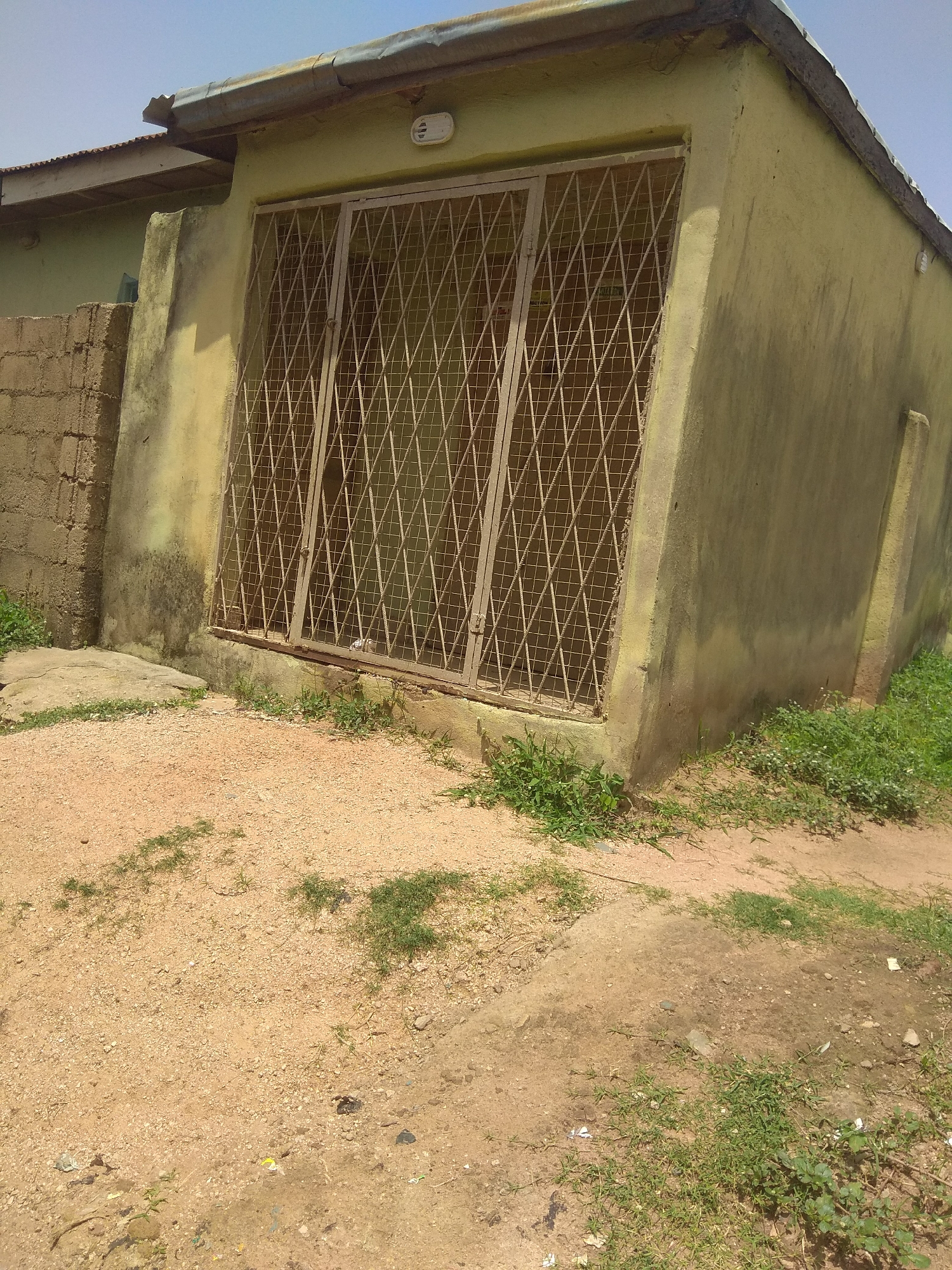 The image depicts the exterior of a small, weathered building in Jalingo, Nigeria. The building has light green, textured walls that are stained and discolored in places, suggesting age and exposure to the elements. A corrugated metal roof extends from the main structure, creating a covered area.
A prominent feature of the building is a large, diamond-patterned metal grate covering a window or entrance. The grate appears to be made of rusted metal and has a sturdy, protective design. Adjacent to the building on the left is a low wall constructed from concrete blocks. The ground in front of the building is a mix of sandy soil and scattered pebbles, with patches of sparse green grass growing in various areas.
The scene is likely set during the daytime, indicated by the bright lighting and clear sky visible at the top of the image. The overall impression is one of a functional, somewhat aged structure in a dry, outdoor environment, typical of a location in Nigeria. There are no people or specific activities visible in the image; it is a static portrayal of the building and its surroundings. No visible text is present.