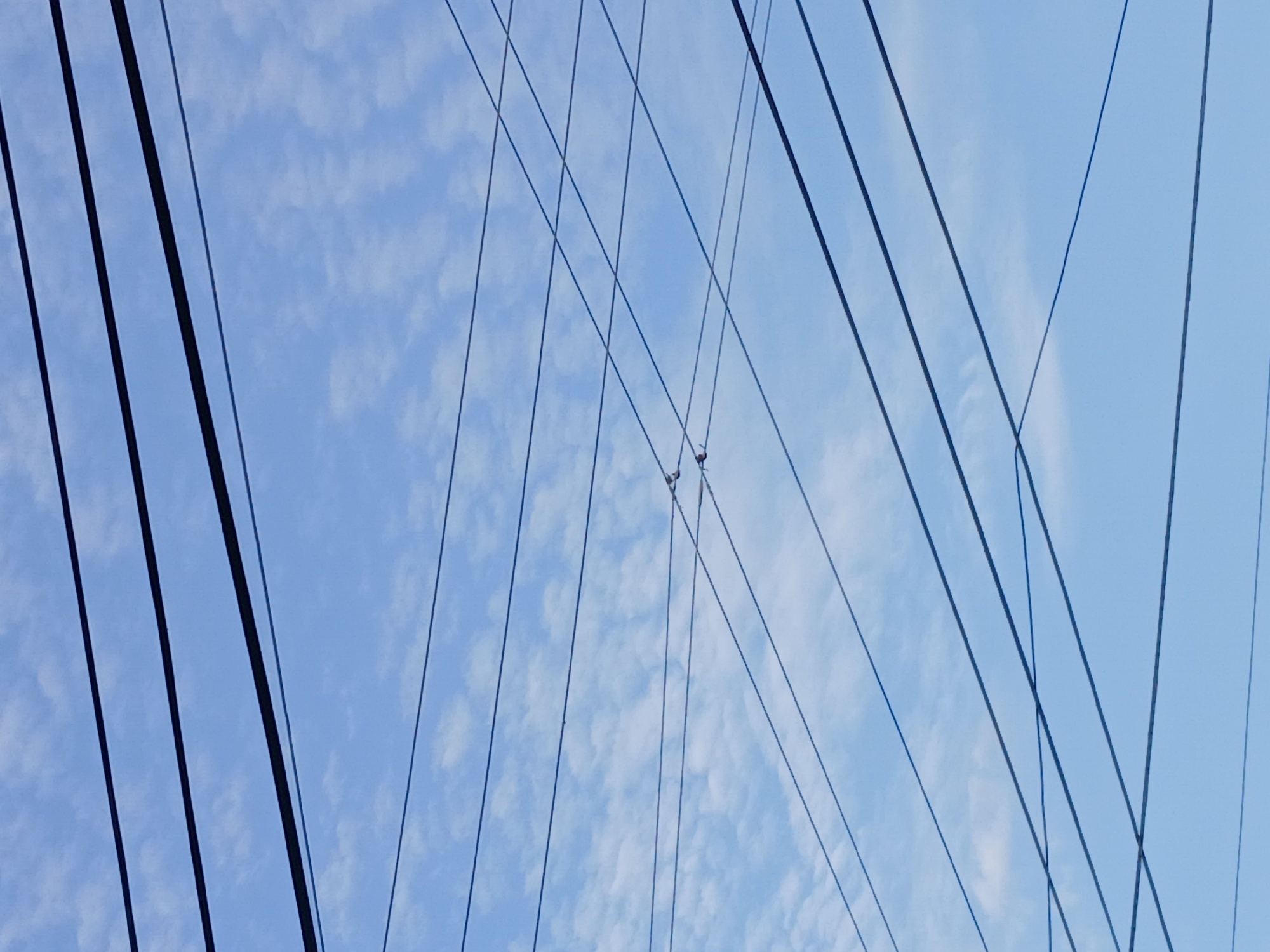 The image shows a view of electrical wires against a blue sky with scattered clouds. The wires are black and create a network of intersecting lines. The location is assumed to be Ciudad Guayana, Venezuela, based on the instructions. There are no people, subjects, objects, actions, or interactions visible in the image other than the wires and the sky.