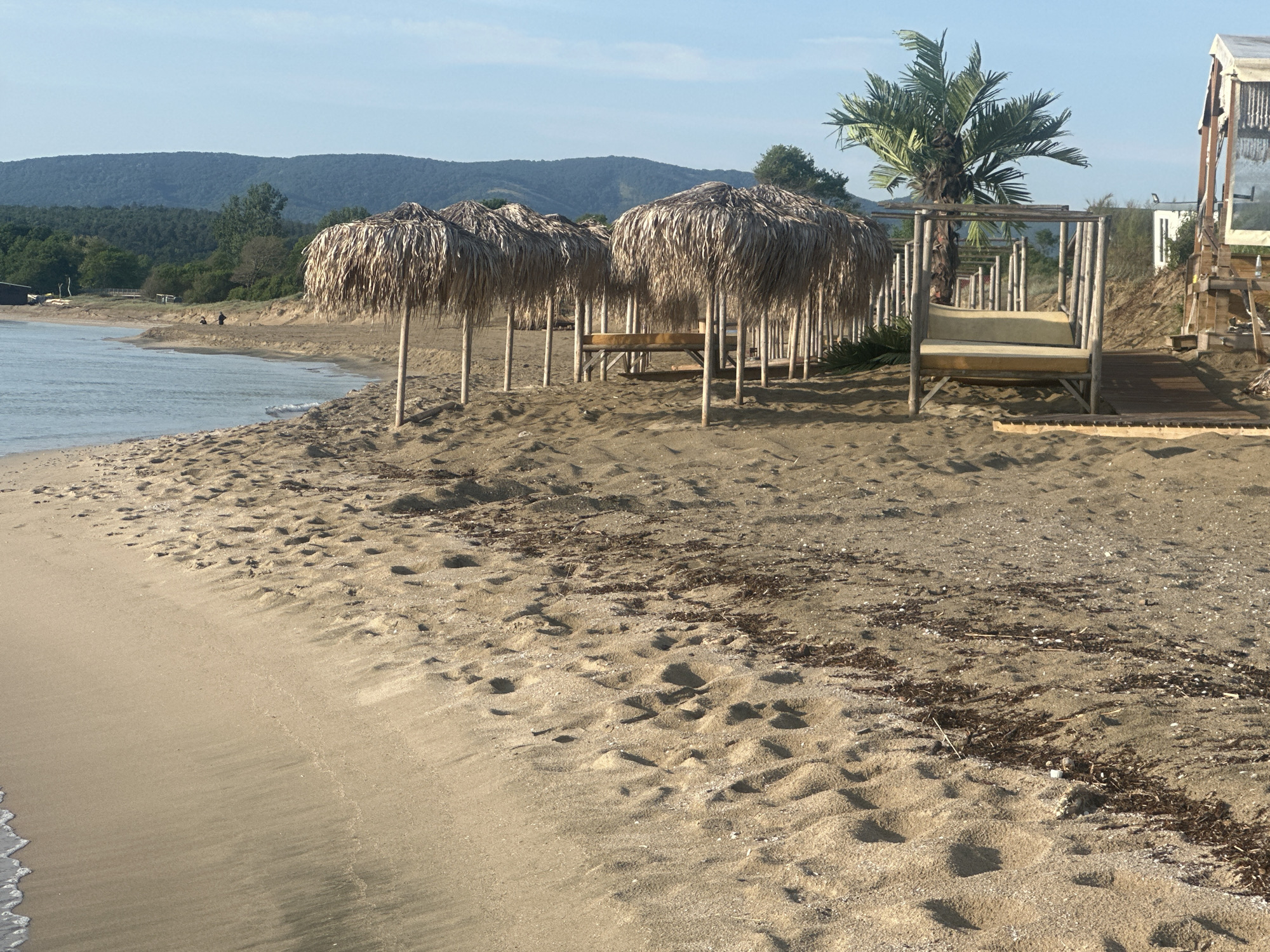 A beach scene in an unidentified city shows the shoreline with a sandy area leading to thatched umbrellas and lounge structures. The sand has footprints and some seaweed debris. The water is visible on the left, with gentle waves reaching the shore. In the background, there are green hills and trees. A palm tree stands near the lounge structures, and a building is partially visible on the right. The sky is clear and blue.