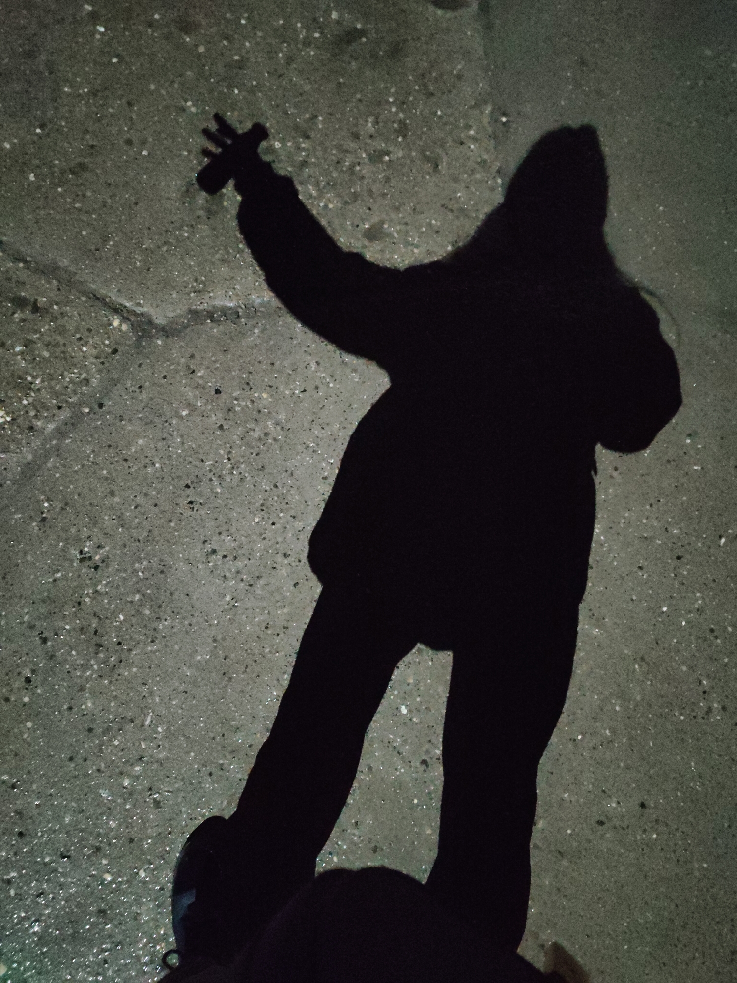 A shadow of a person is cast on a pavement. The person appears to be holding an object, possibly a phone or camera, in their raised hand. The setting is urban, as suggested by the pavement. The lighting is dim, causing the stark contrast between the shadow and the ground.