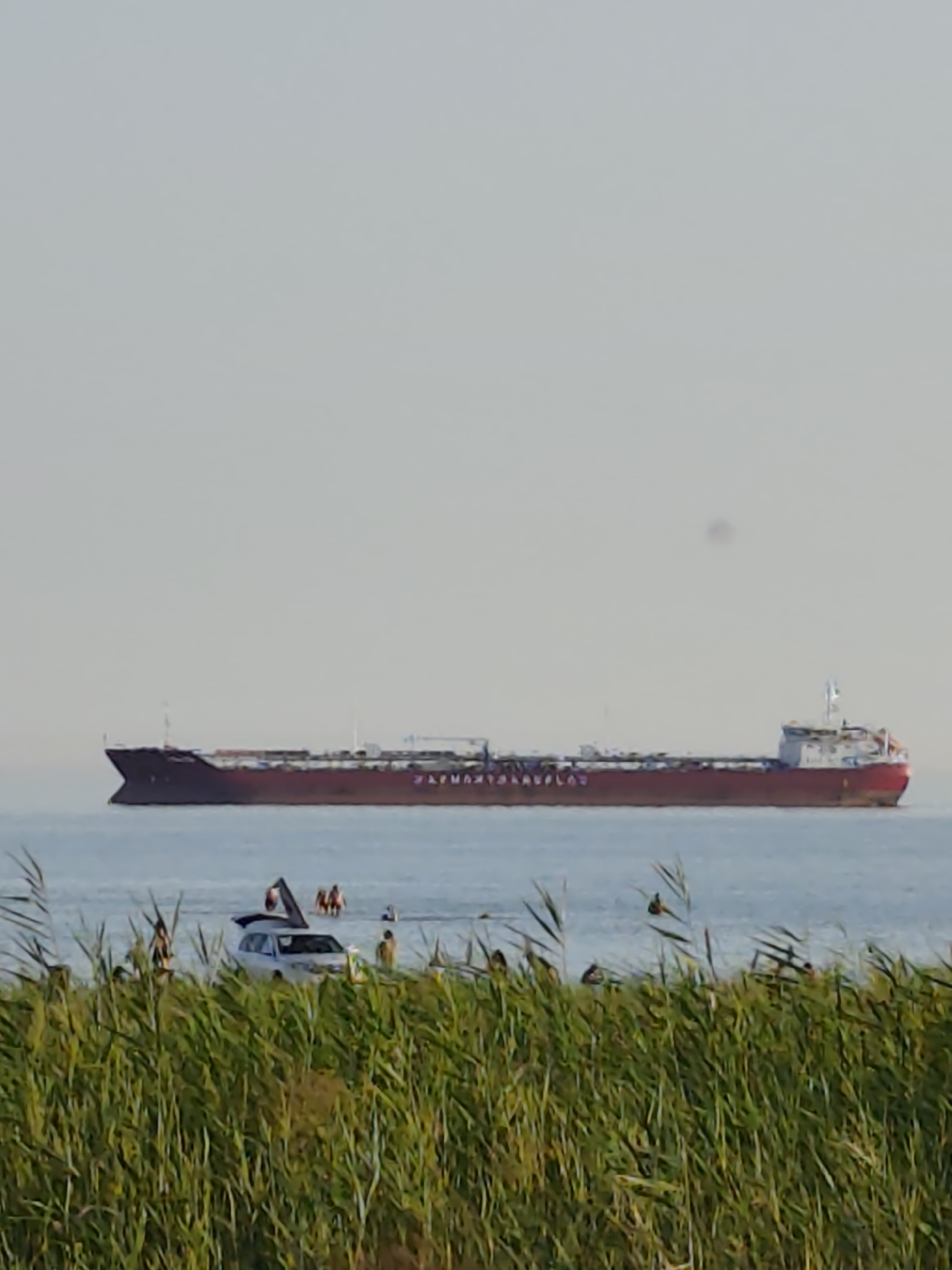The image shows a cargo ship sailing on the Caspian Sea, near the shore of Aktau, Kazakhstan. In the foreground, tall green grass lines the beach, partially obscuring the view of the water. Several people are visible on the shore and in the shallow water, some near a white SUV parked partially on the sand. The sky is overcast, creating a muted light over the scene. The ship, with a red hull and a white superstructure, is the most prominent object in the distance.