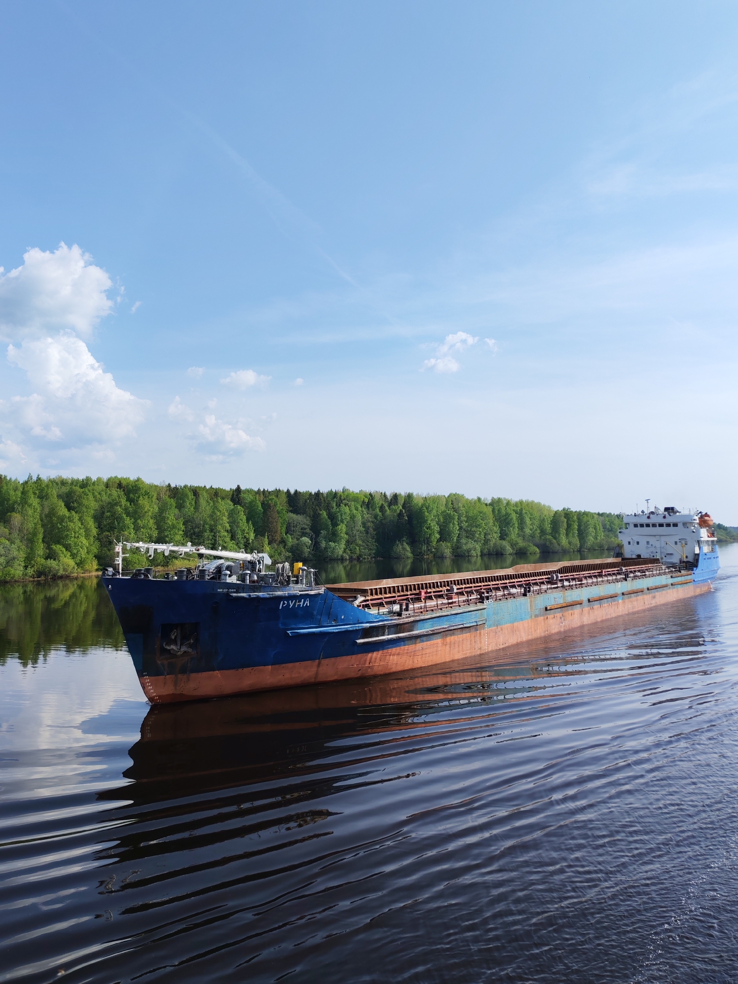 The image depicts a large blue and rust-colored cargo ship, identified by the name "РУНА" on its bow, navigating a body of water. The vessel is moving, indicated by the waves radiating outward from its hull. A dense forest line borders the water's edge on the left side. The sky is blue with scattered white clouds. The location is Gari, Russia.